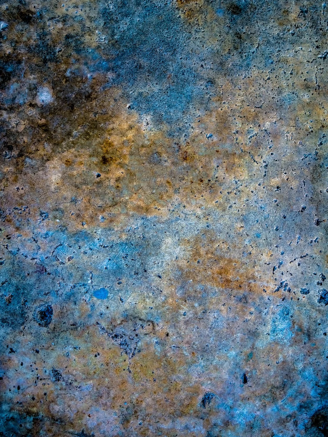 TITLE RENATO RAMPOLLA-25Renato Rampolla.jpg