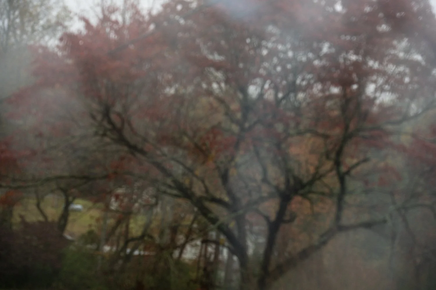 A7500454Renato Rampolla.jpg