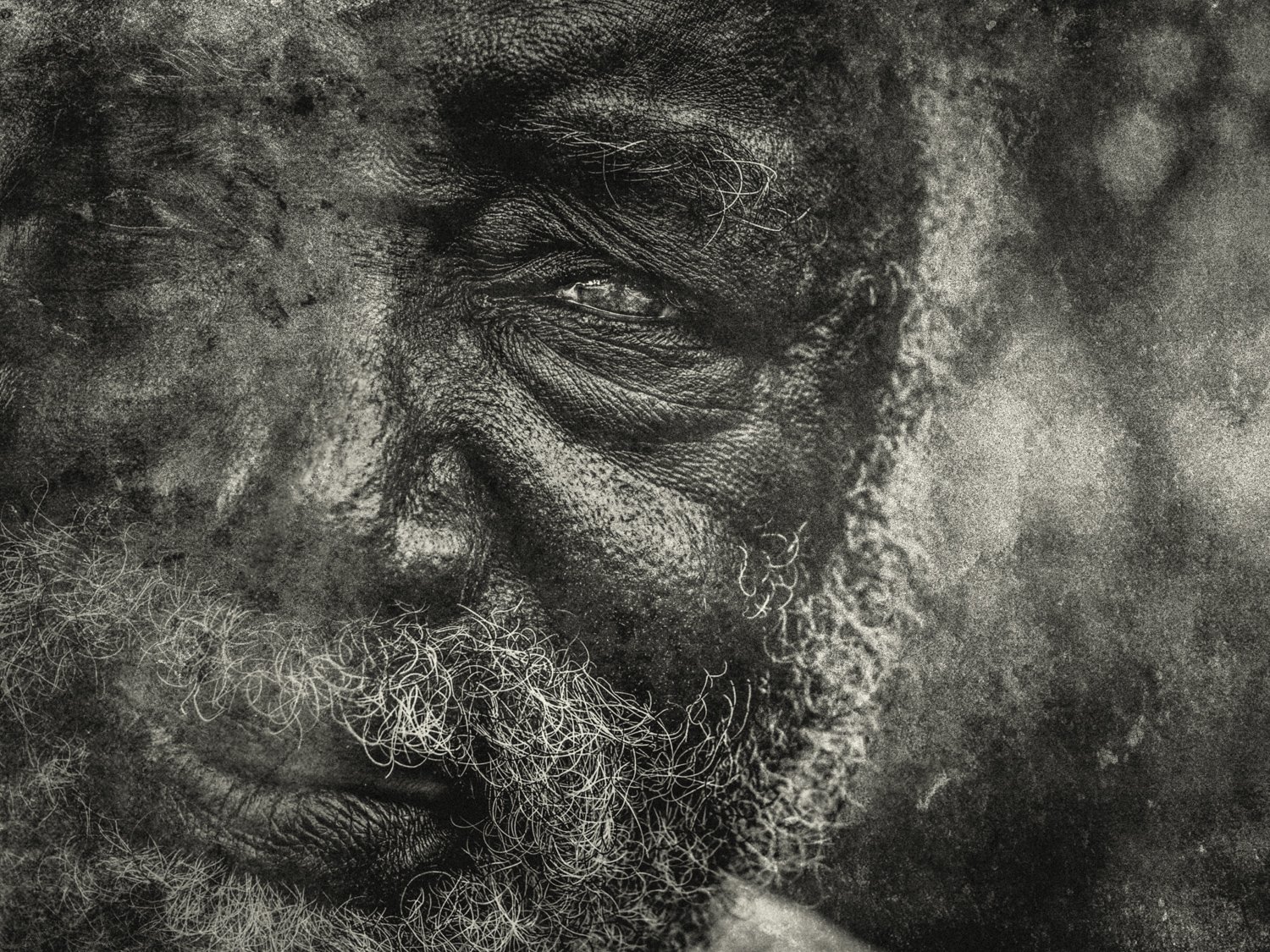 Long As I got Half A BreathRenato Rampolla.jpg