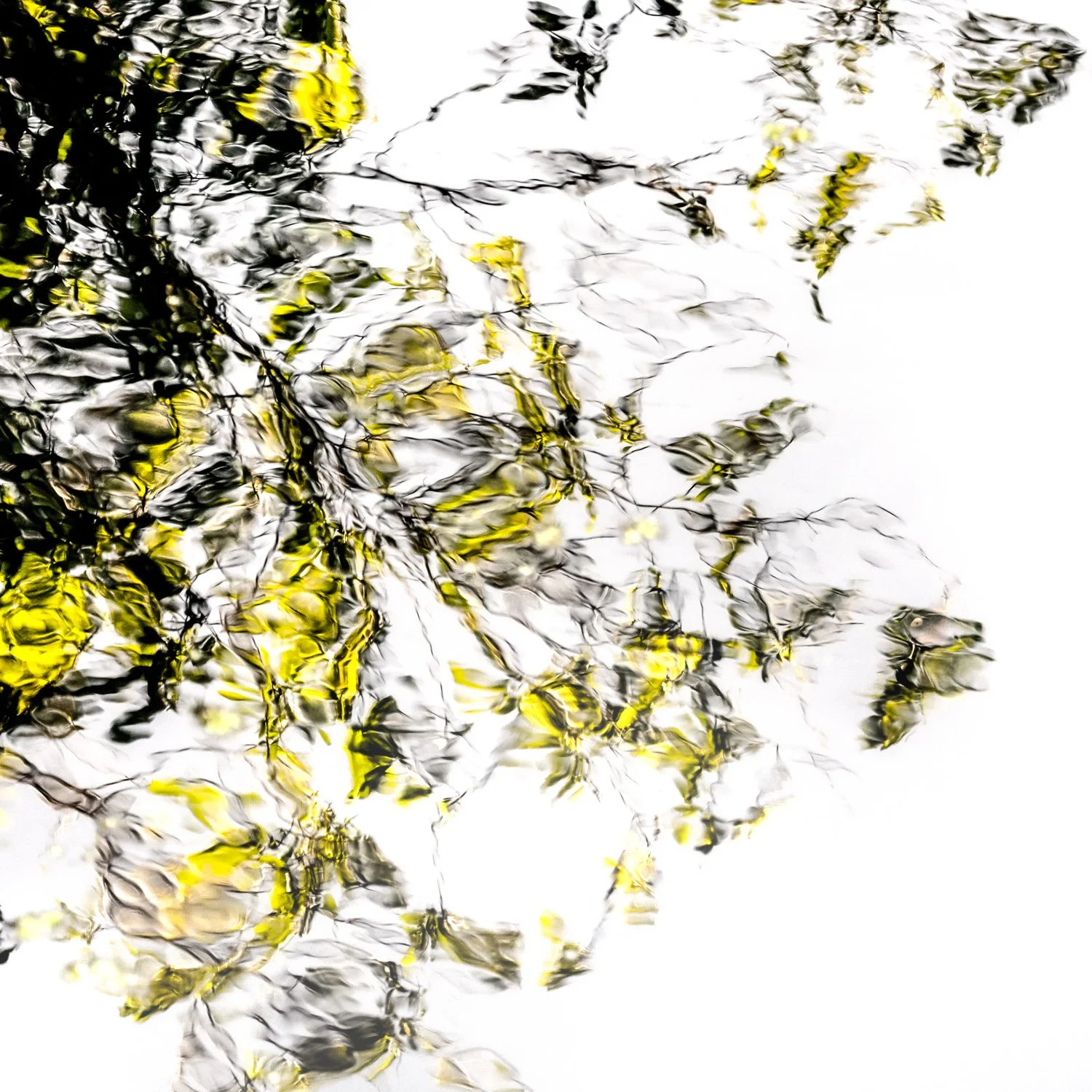 Reflections of Time 2023Renato Rampolla.jpg