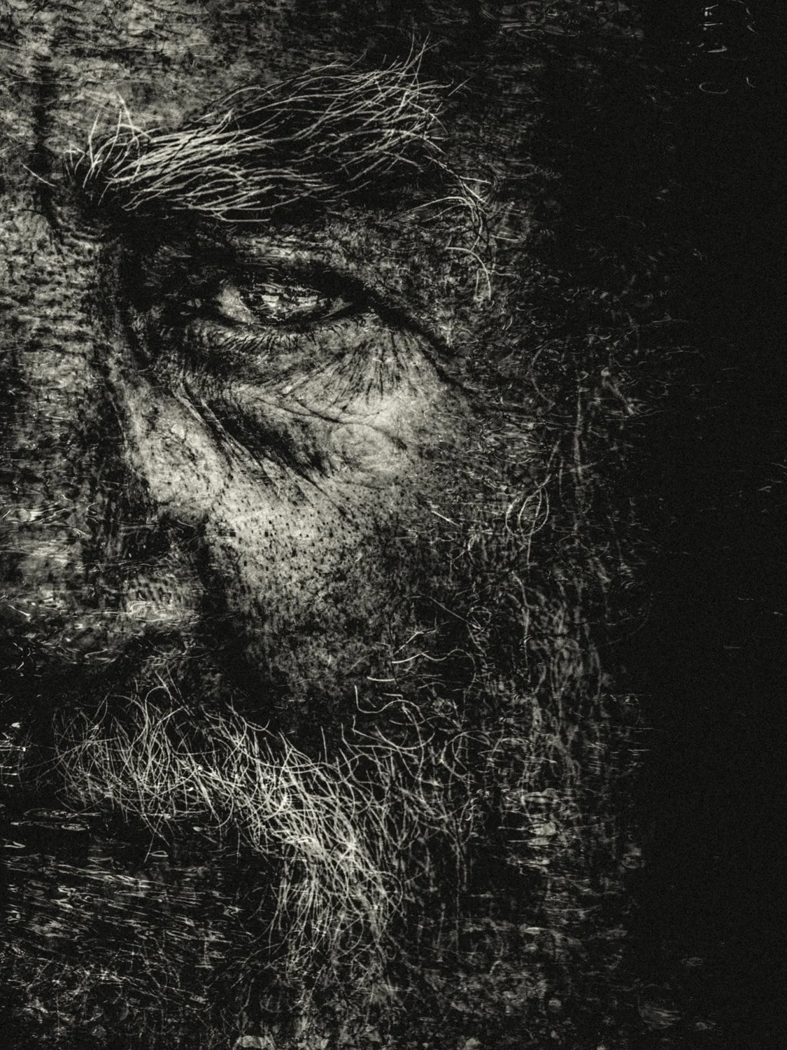 Unfinished Song-2Renato Rampolla.jpg