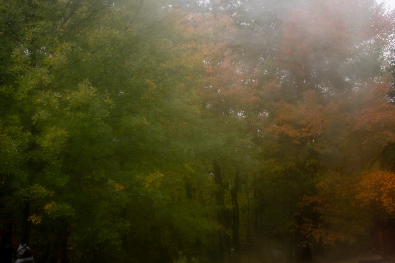 A7500334Renato Rampolla.jpg