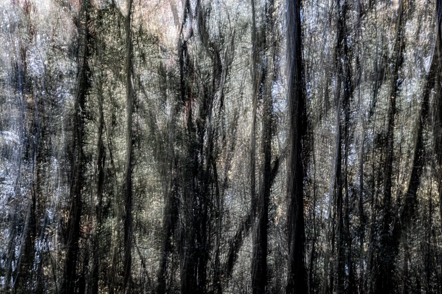 A7500781Renato Rampolla.jpg