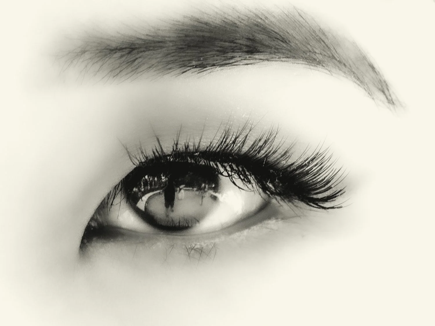 TITLE RENATO RAMPOLLA-170Renato Rampolla.jpg