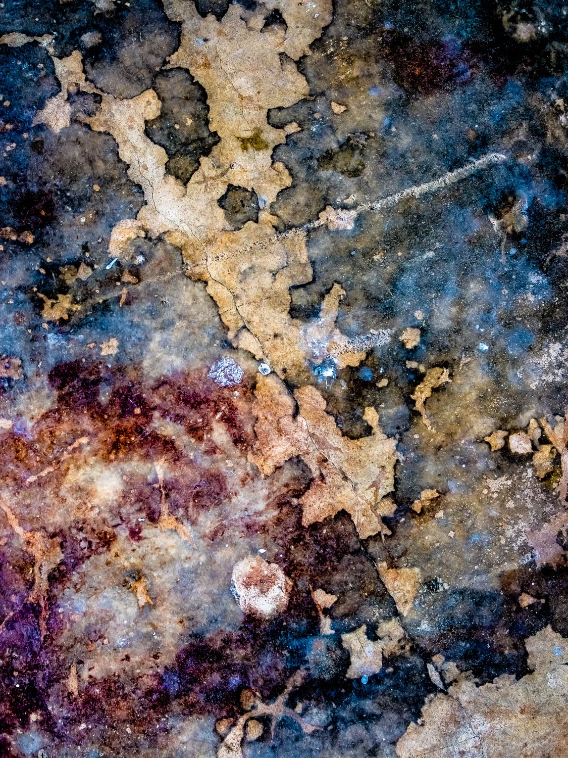 TITLE RENATO RAMPOLLA-19Renato Rampolla.jpg