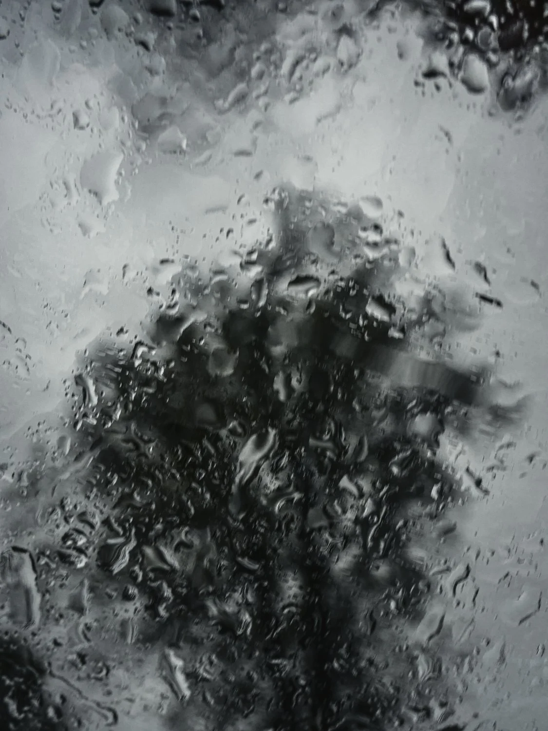 A7500377Renato Rampolla.jpg