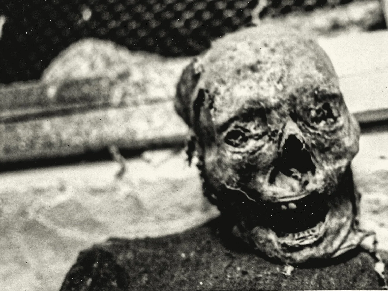 IMG_0011Renato Rampolla.jpg