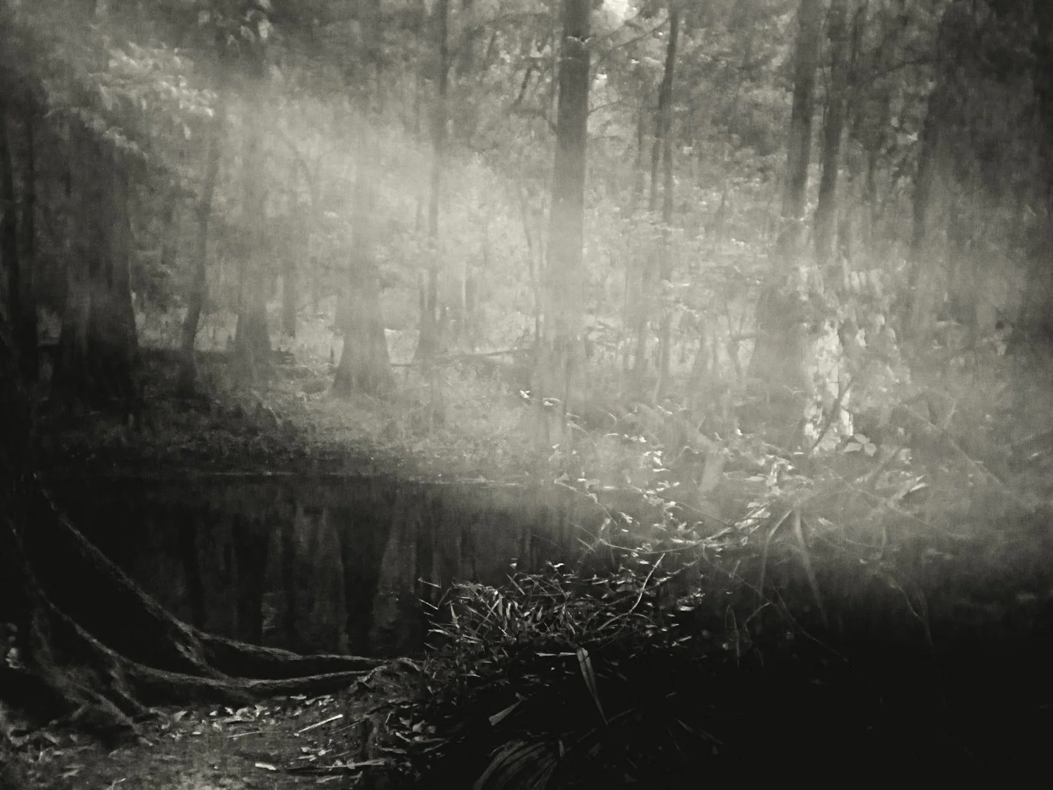 A7500132Renato Rampolla.jpg