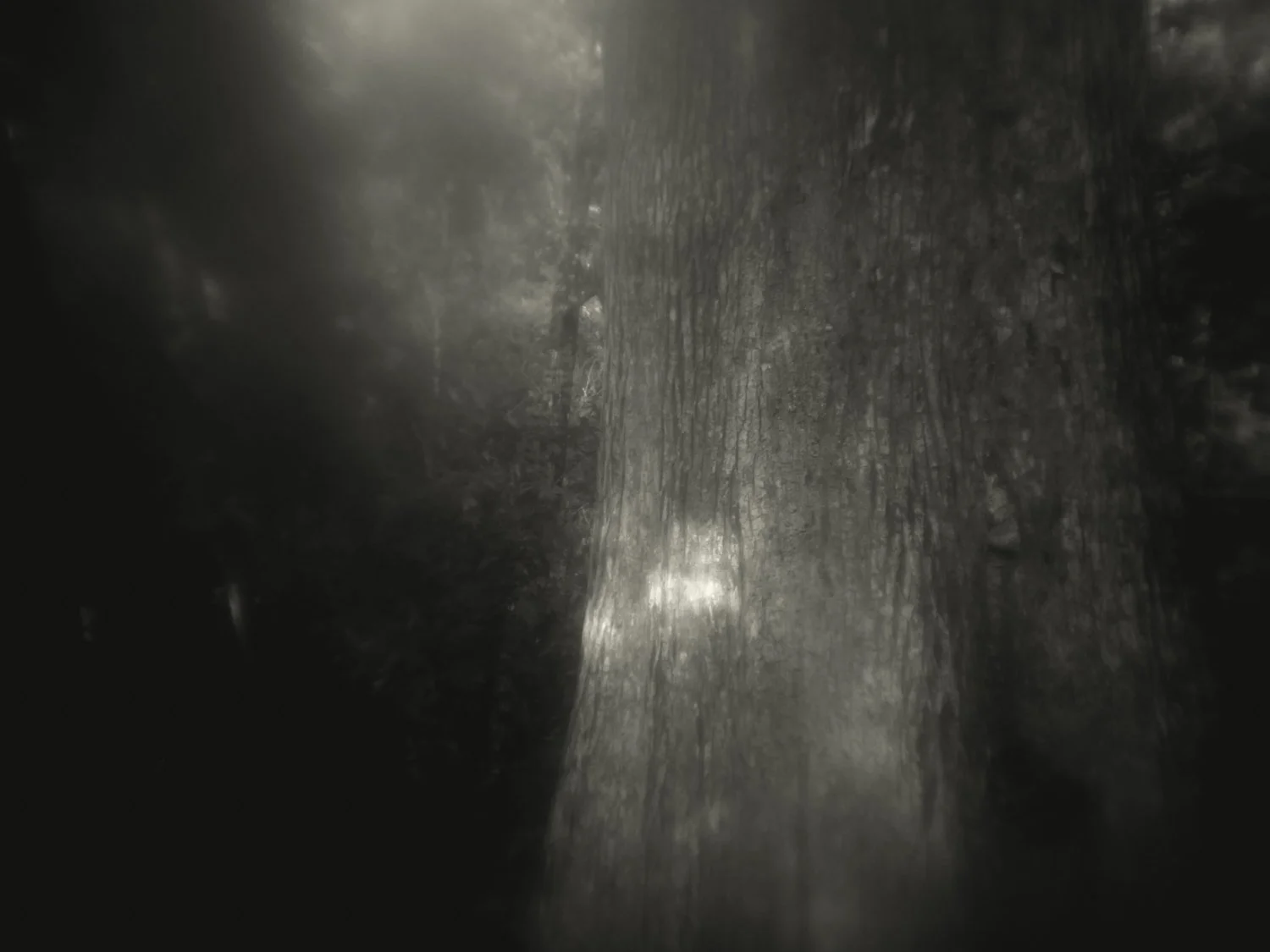 A7500141Renato Rampolla.jpg