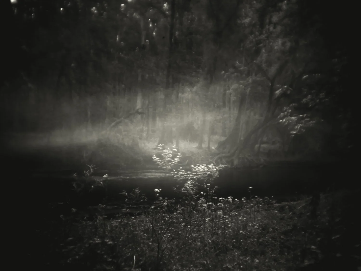 A7500184Renato Rampolla.jpg