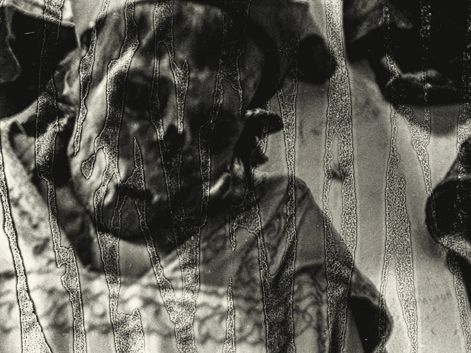 img20250225_12061671Renato Rampolla.jpg