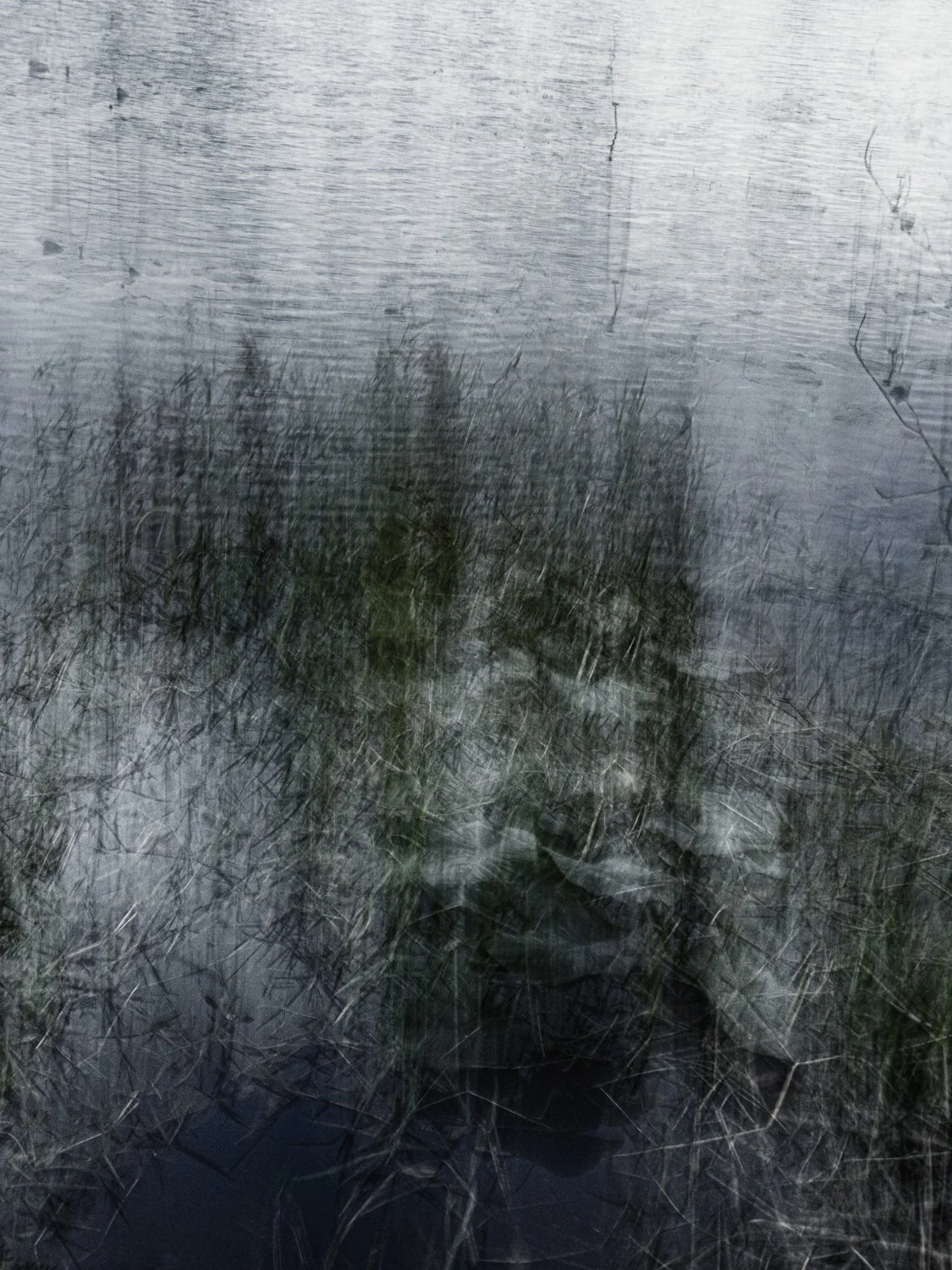 A7500066Renato Rampolla.jpg