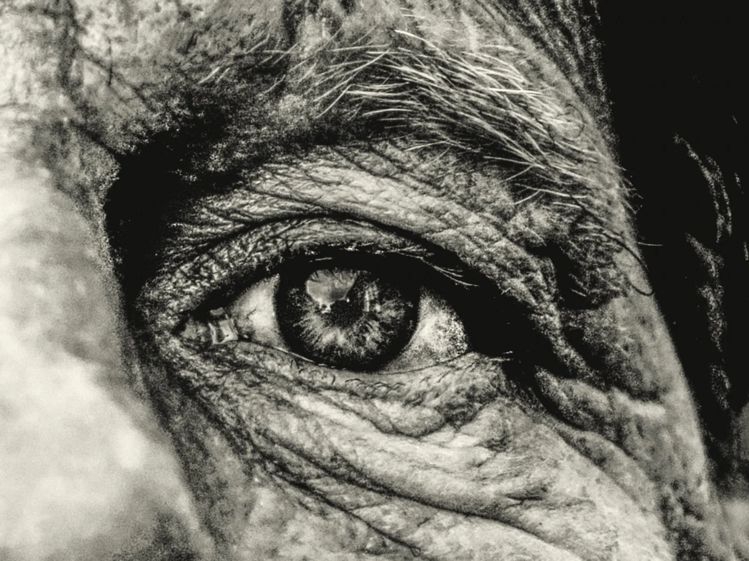 Untitled_Renato Rampolla-2-2Renato Rampolla.jpg