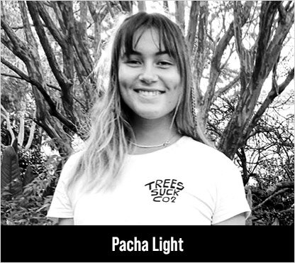 Pacha-Light.jpg