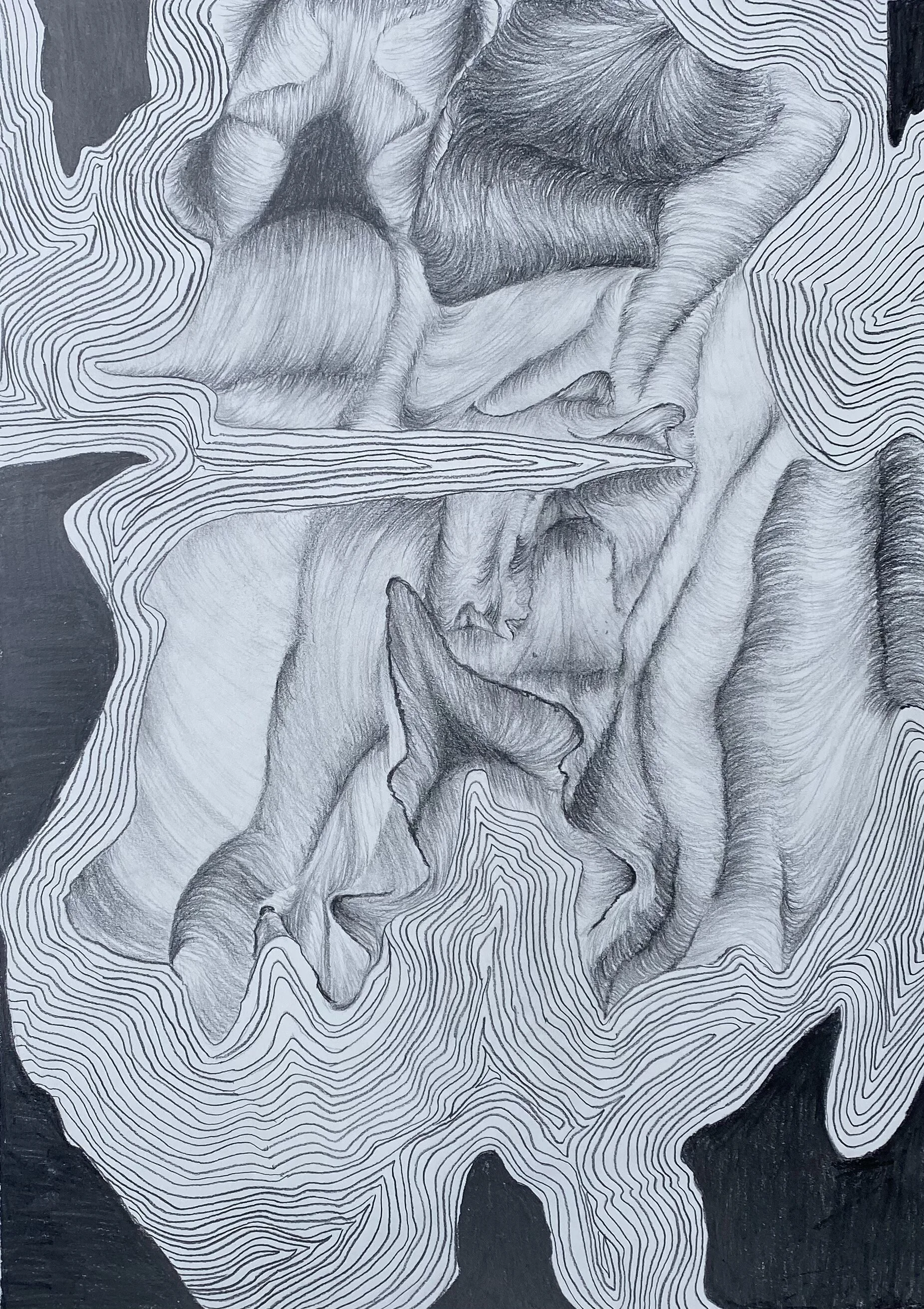 GENESIS   20” x 14”   Graphite on Paper   2019