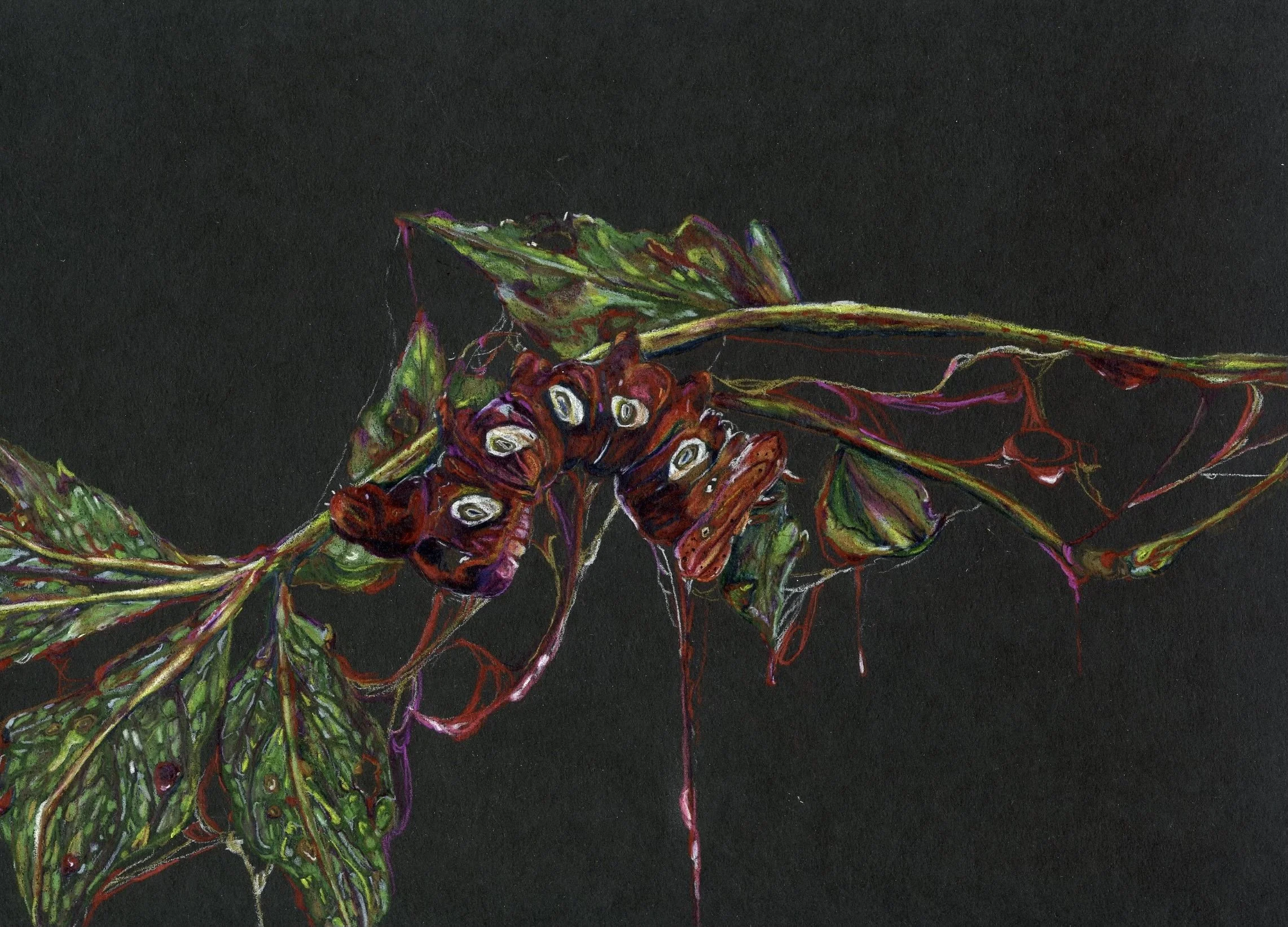 instar 5.jpg