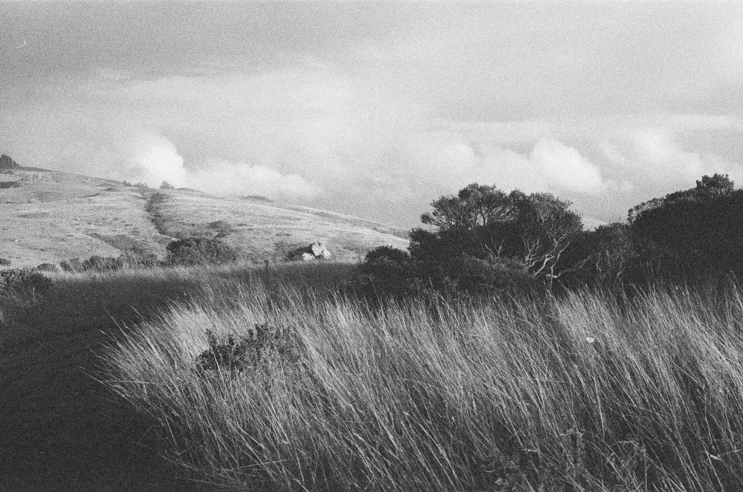 000048100027 - yes.jpg