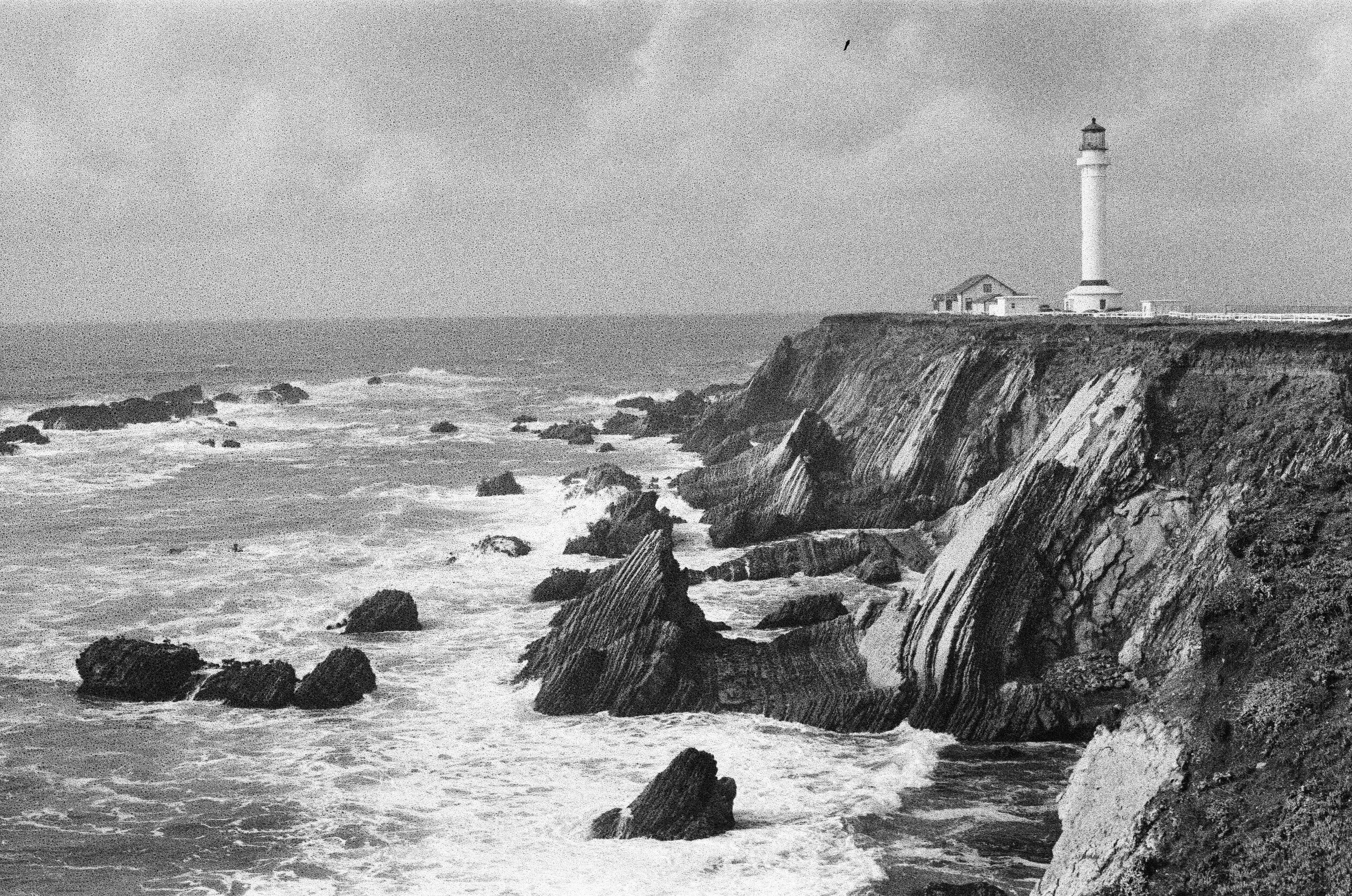 000048100004 -yes.jpg