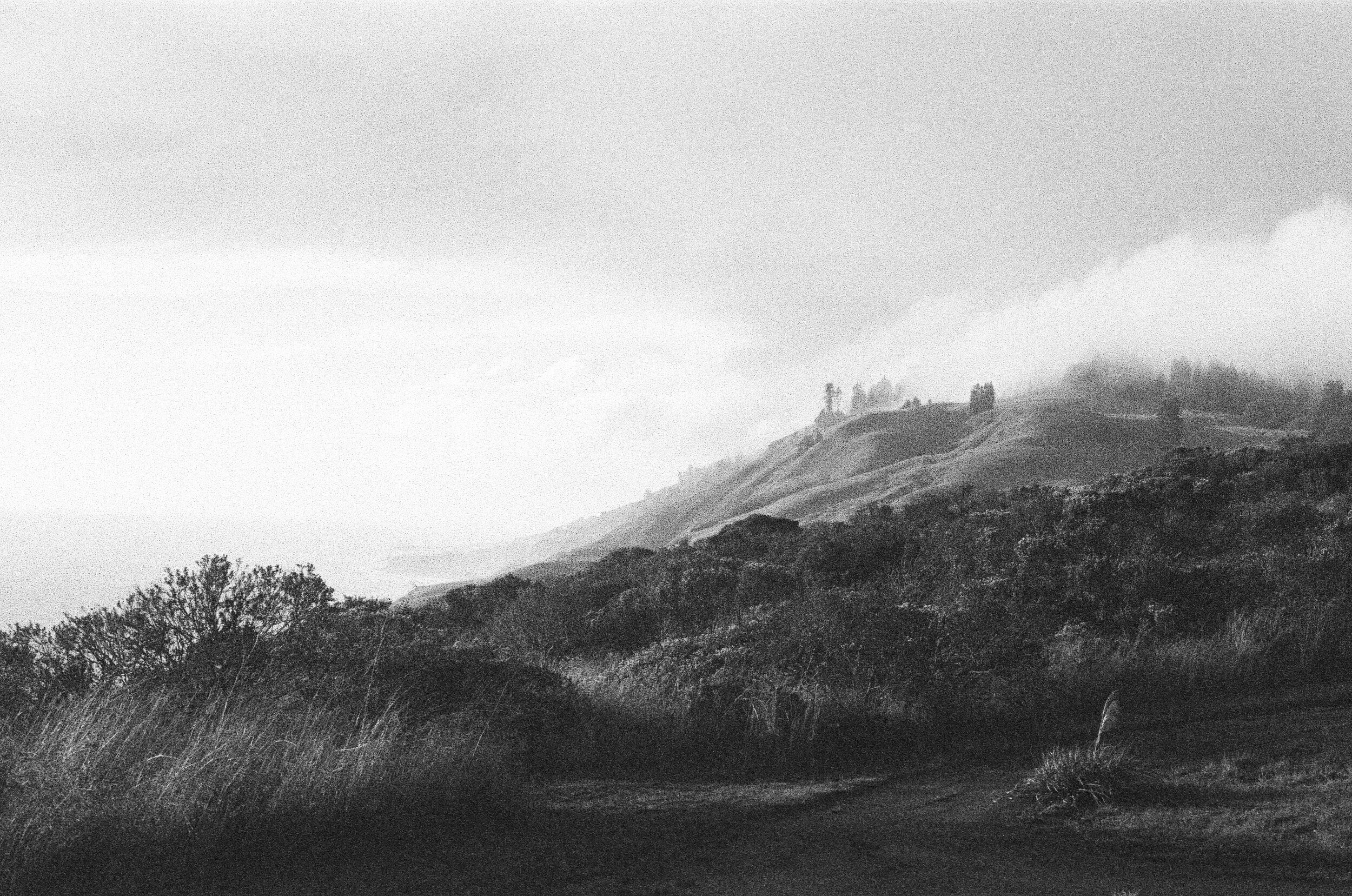 000048100026 -yes.jpg