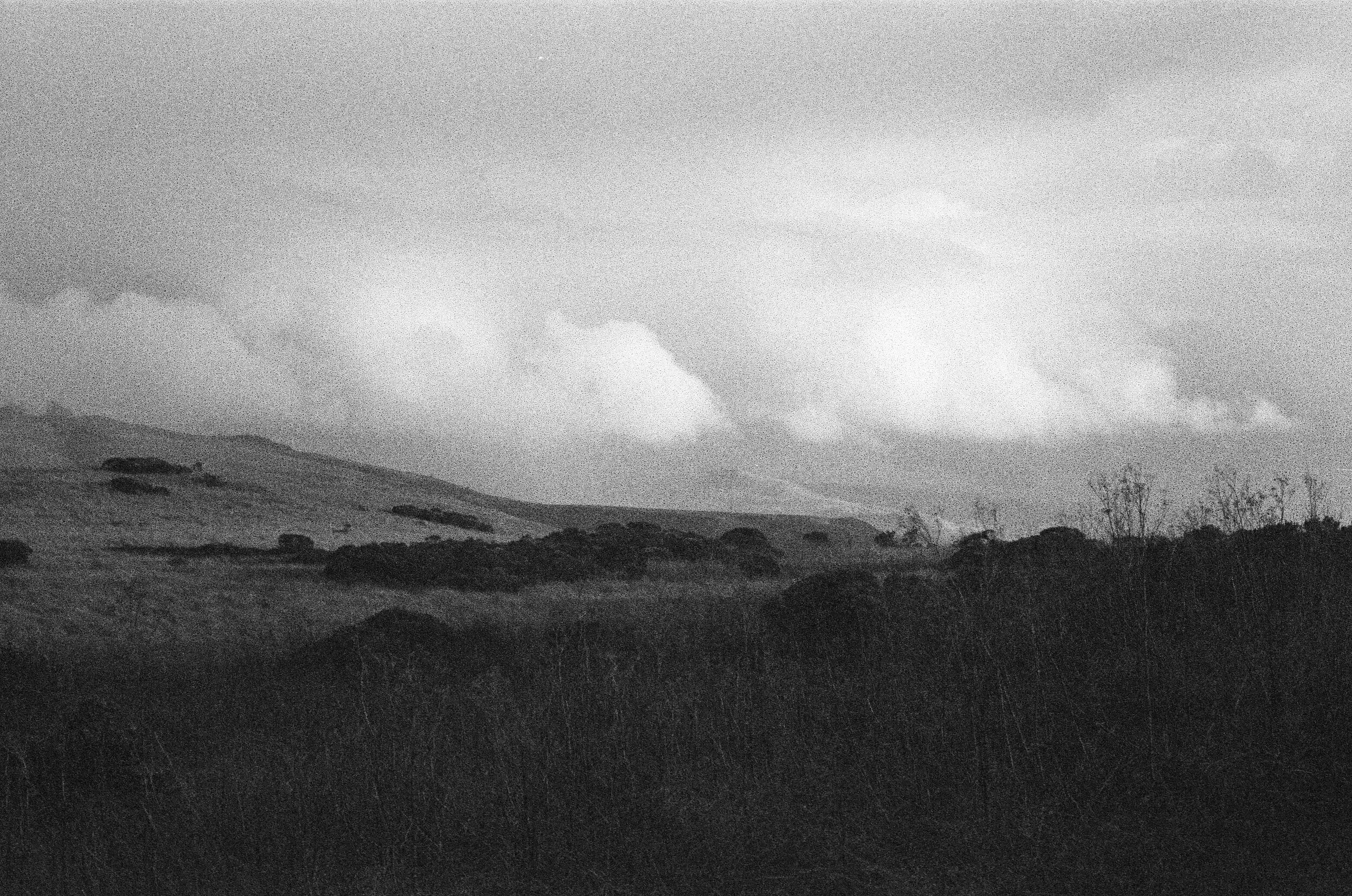 000048100023 - yes.jpg