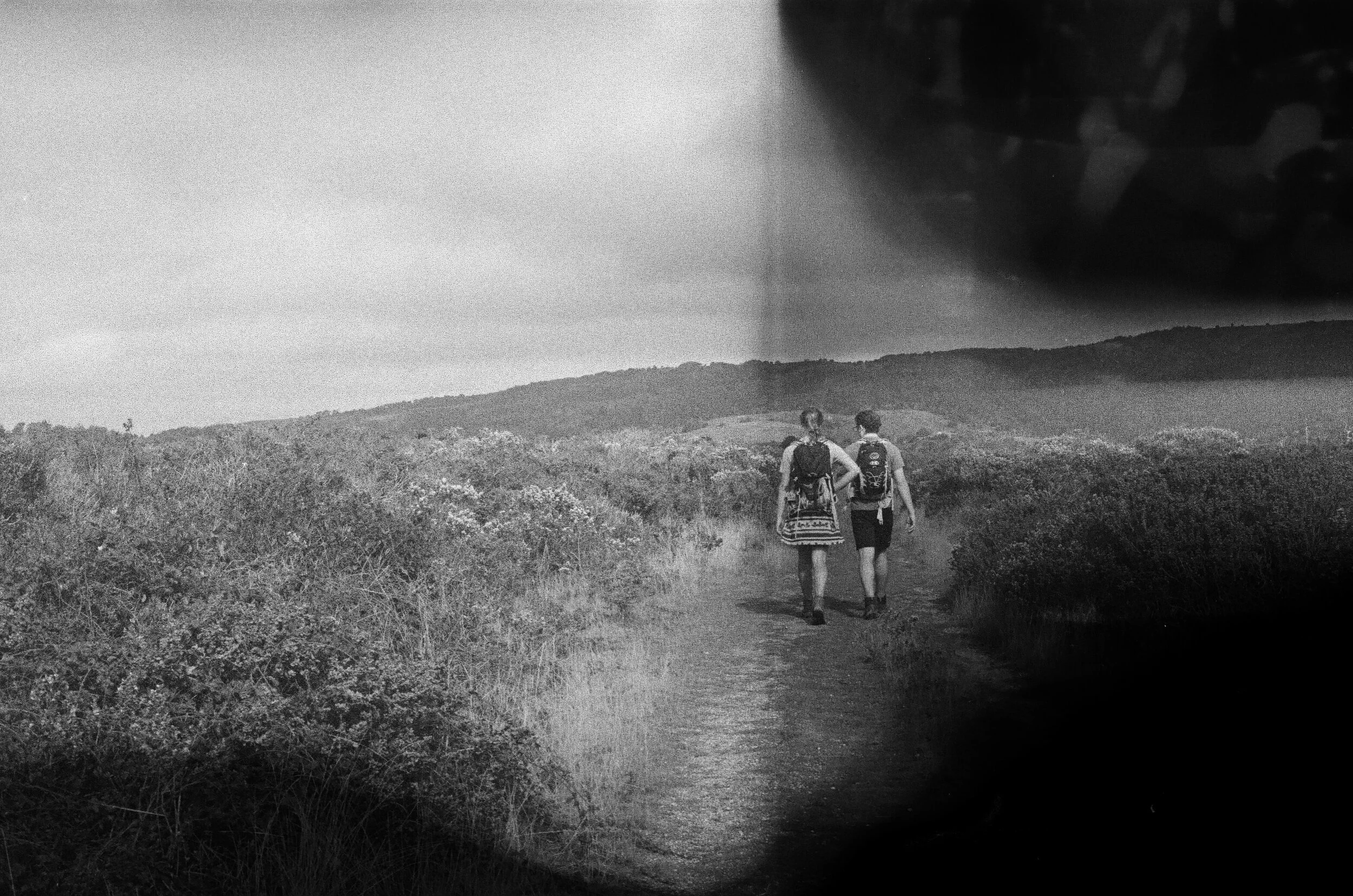 000048100039 - yes.jpg