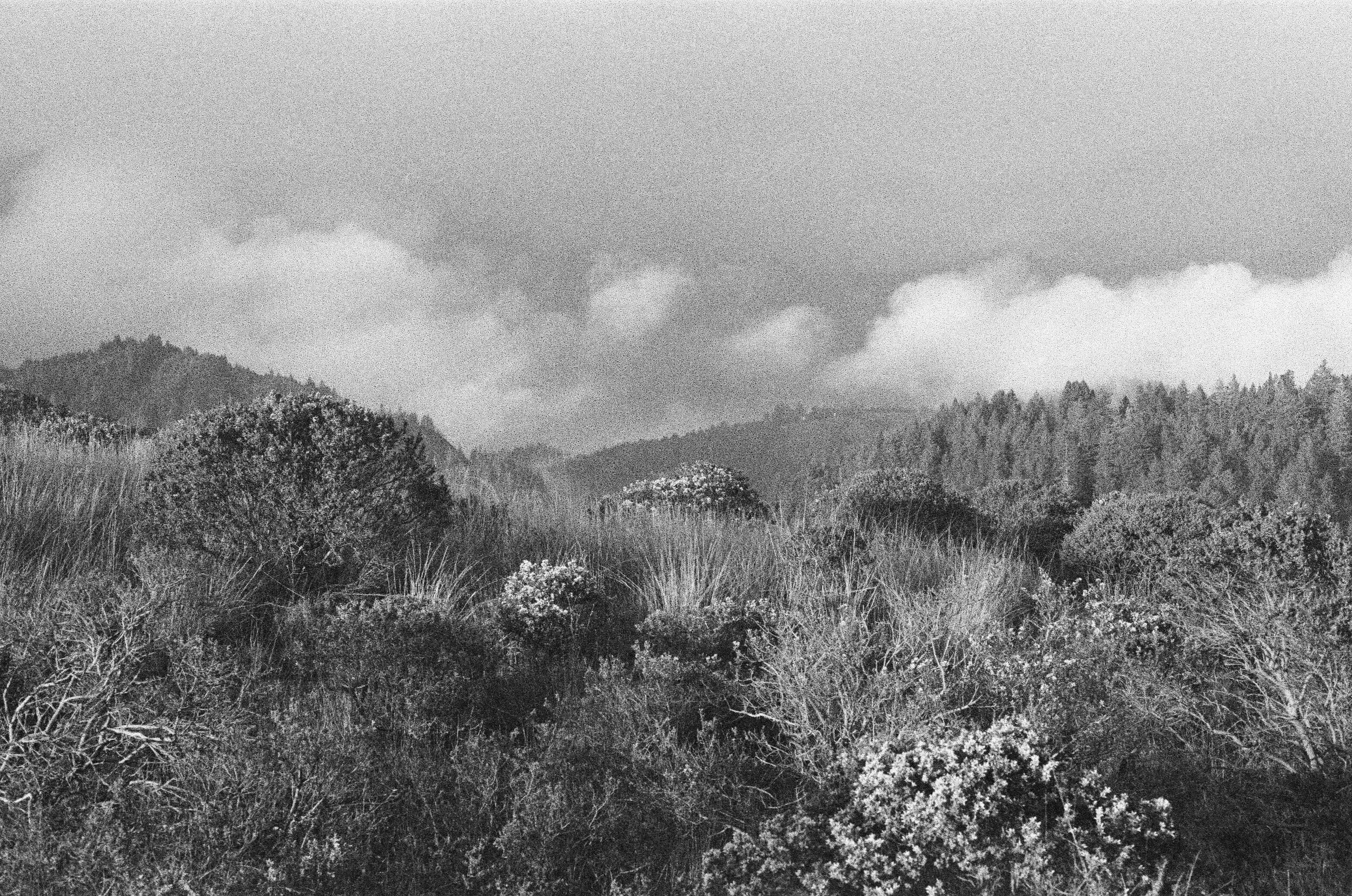 000048100033 - yes.jpg