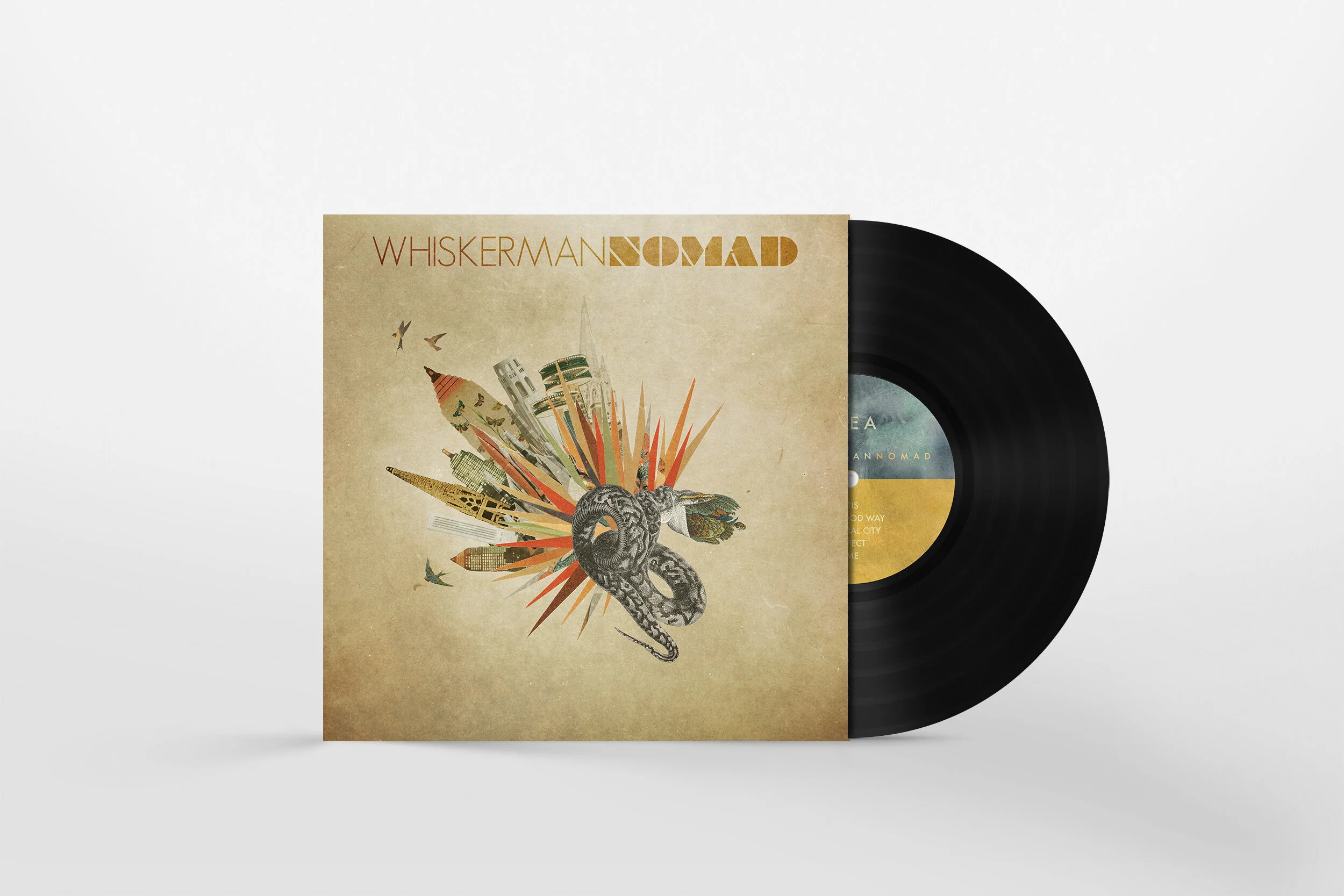 Vinyl Disc Mockup.jpg