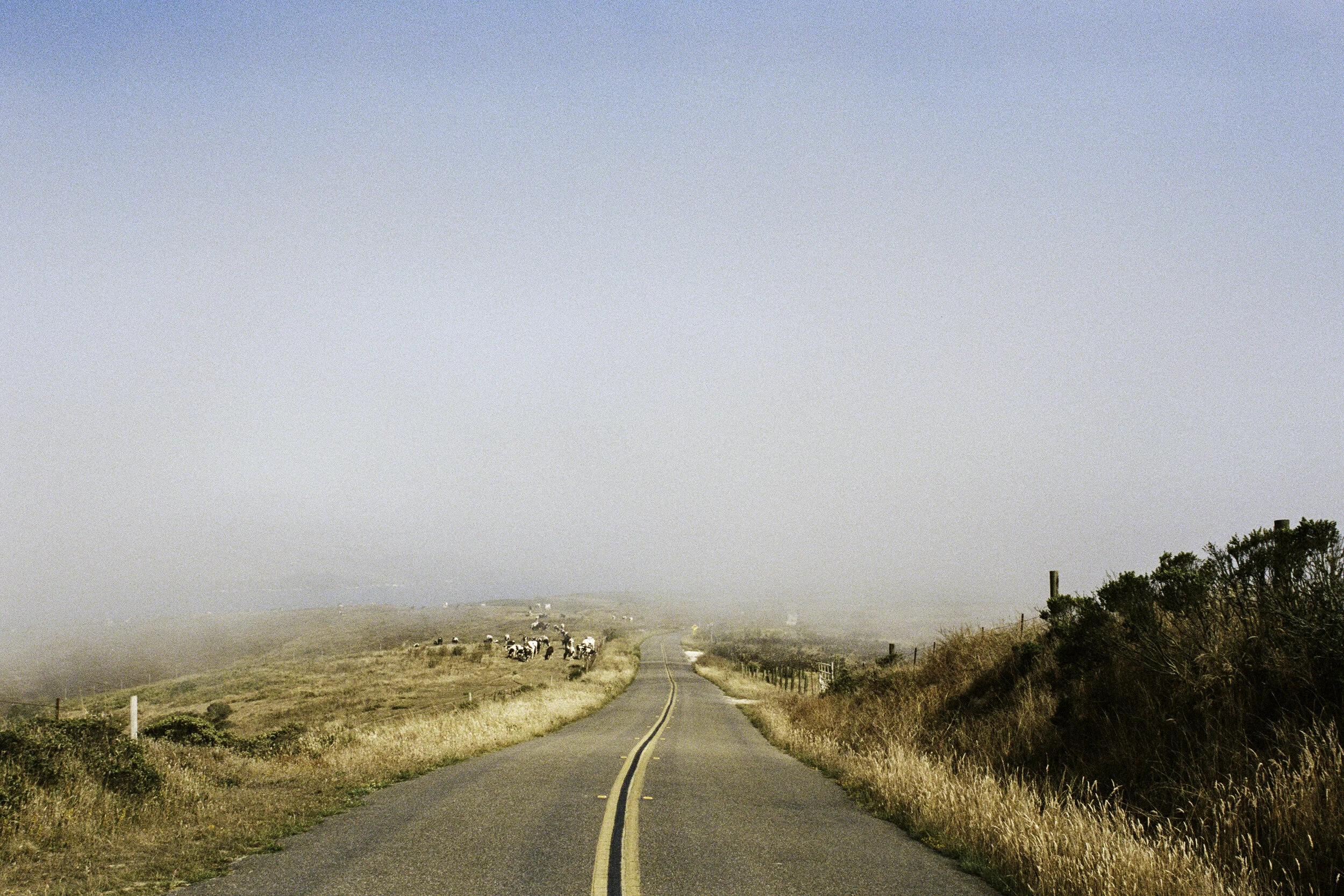 Looking SE from Pierce Point Road