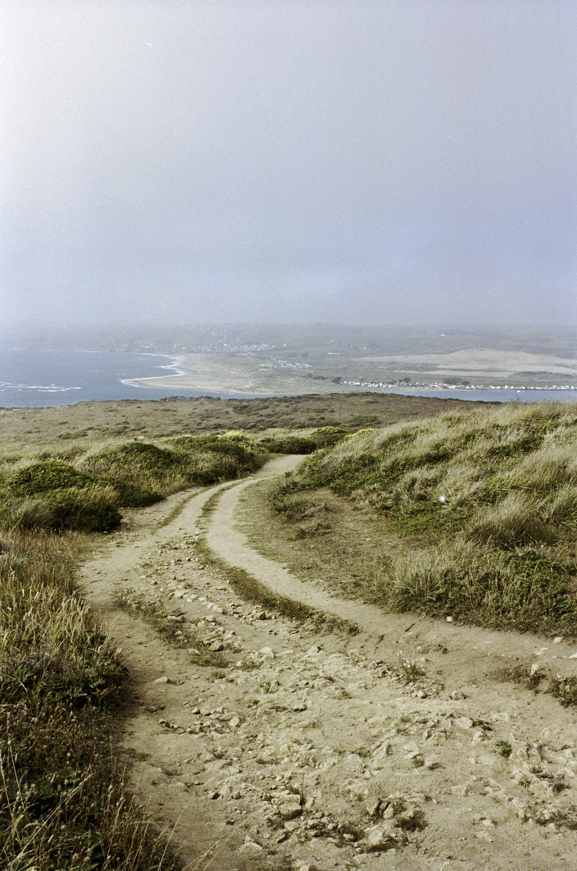 A slightly rocky sandy trail through tall dry grasses heads to the end of Tomales Point.