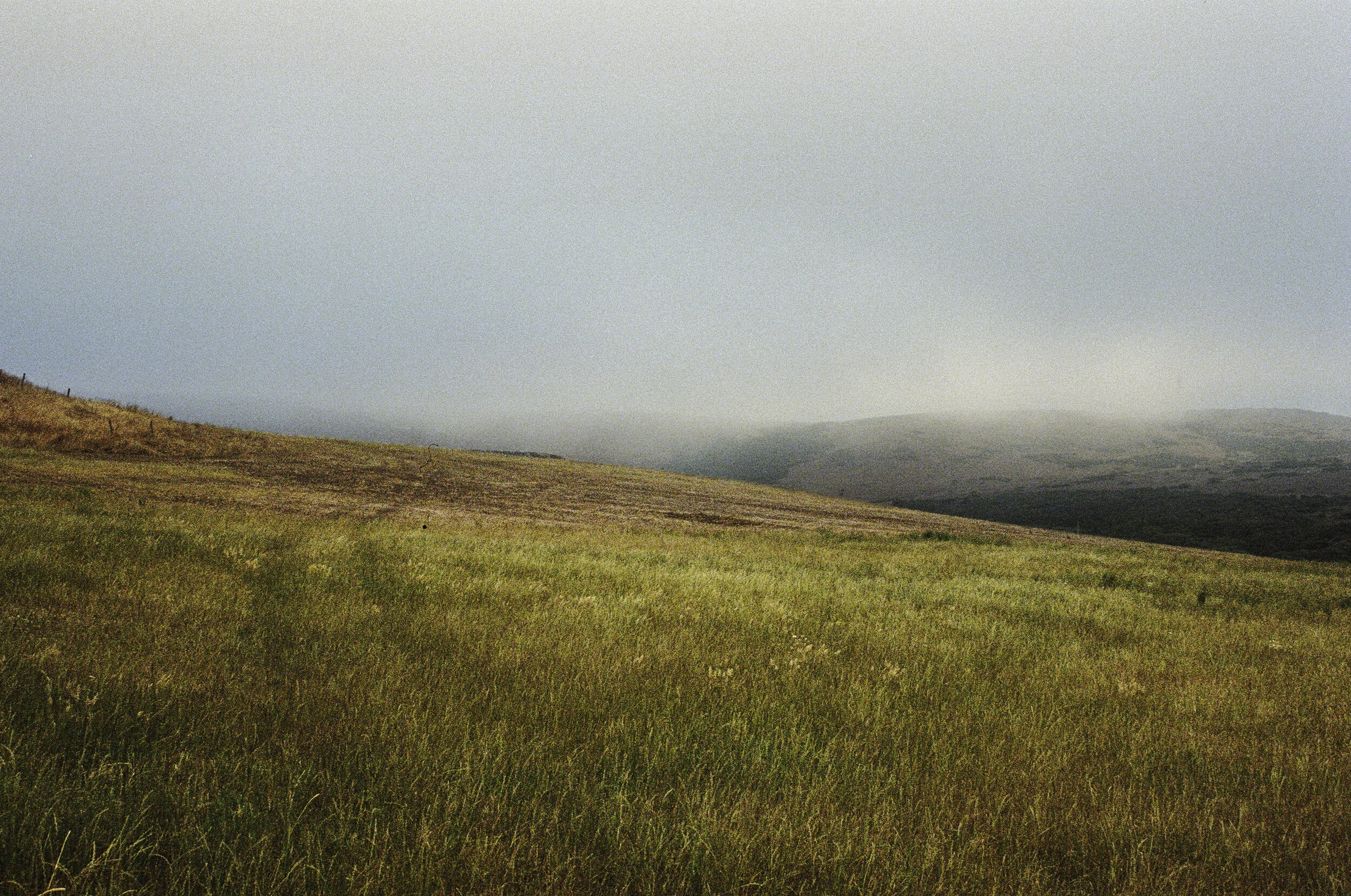 Fog glides along distant hills, and in the meadow in the foreground the faint tracks of an off-road vehicle head into the distance.