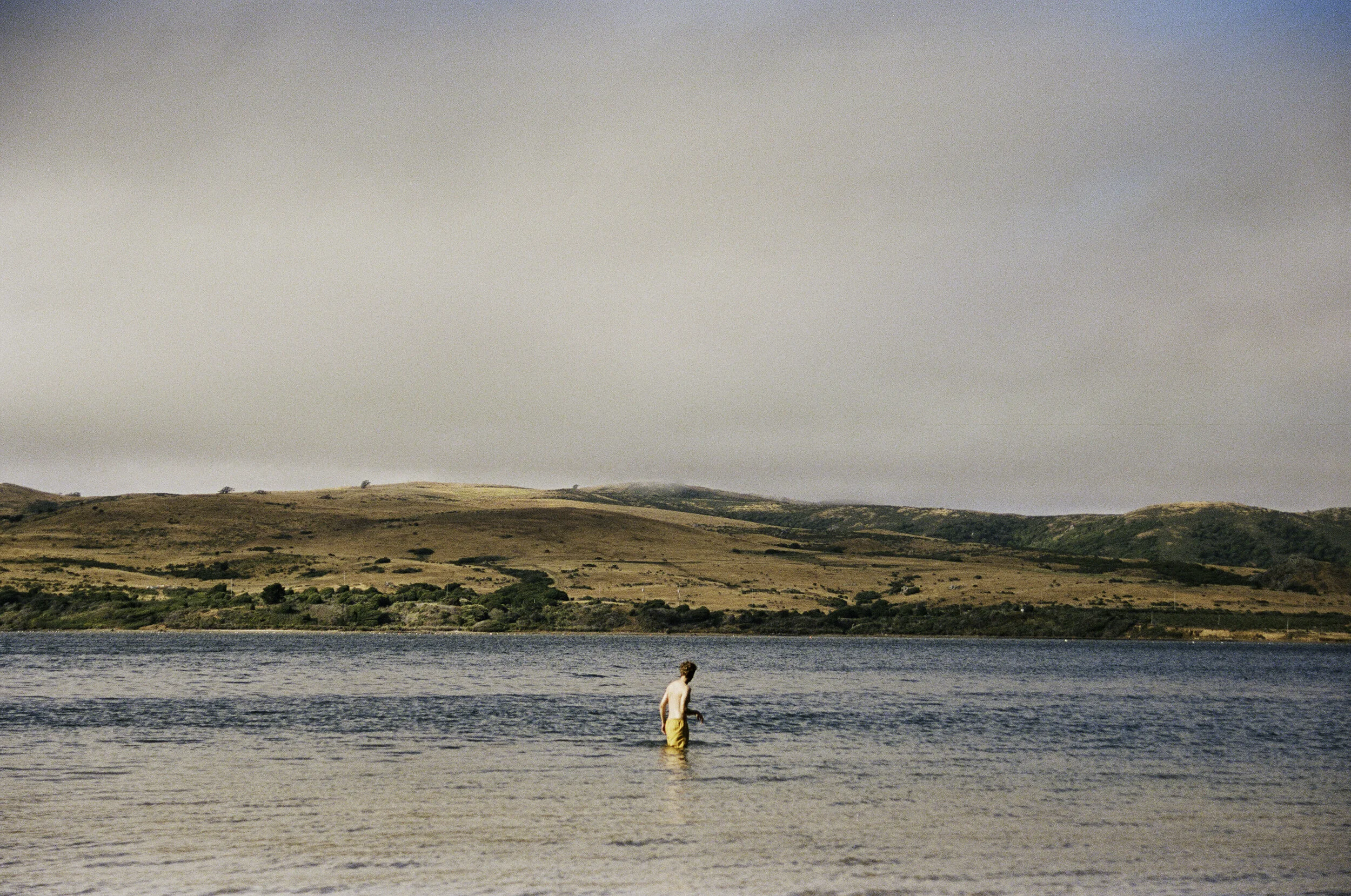 A swimmer wades in the waters of Tomales Bay on a sunny, foggy summer day.