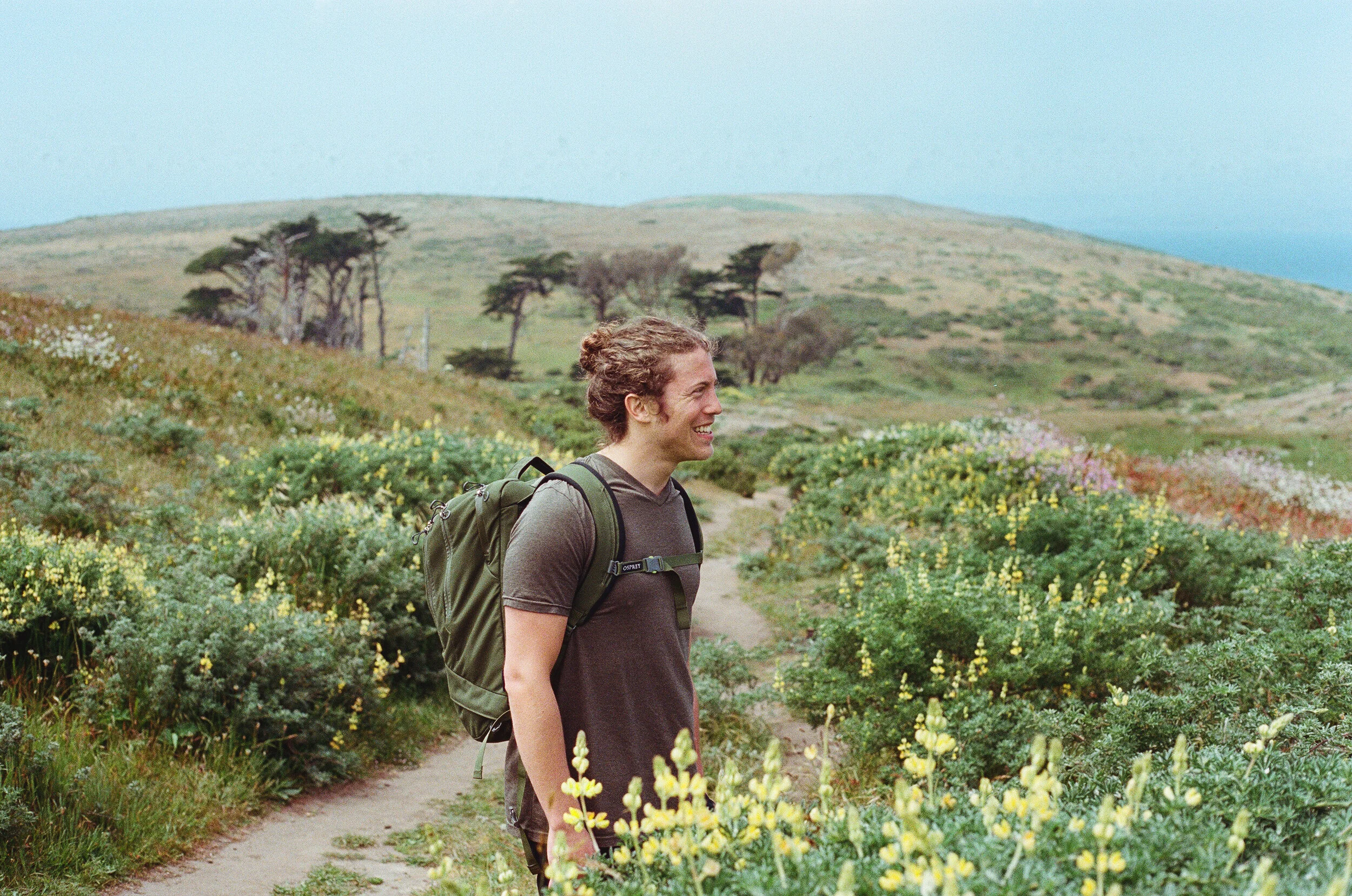 A young man smiles on a trail amid yellow lupins on Tomales Point.