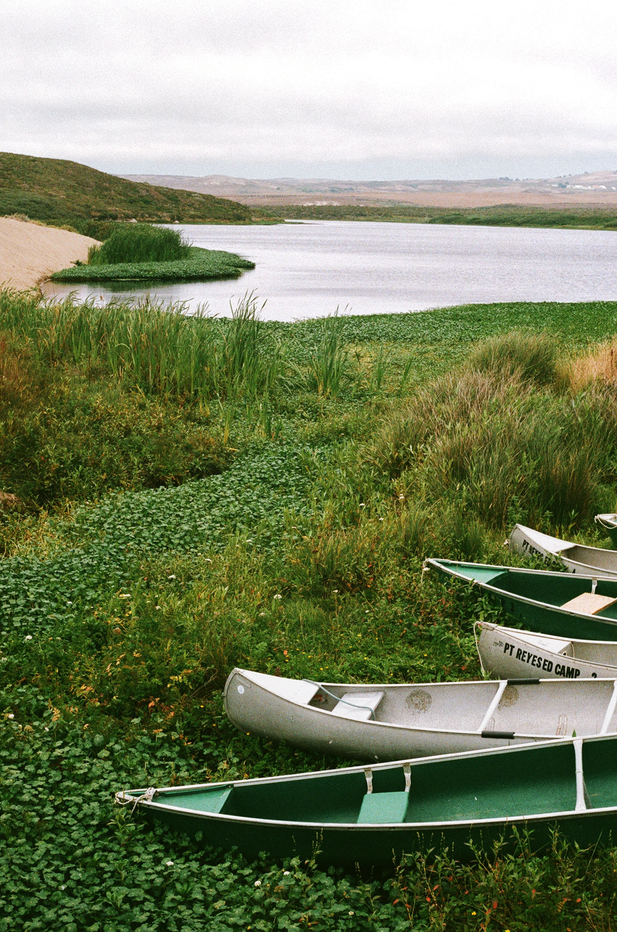 Green and white canoes sit on the water's edge at the entrance to the inner lagoon at Abbotts Lagoon.