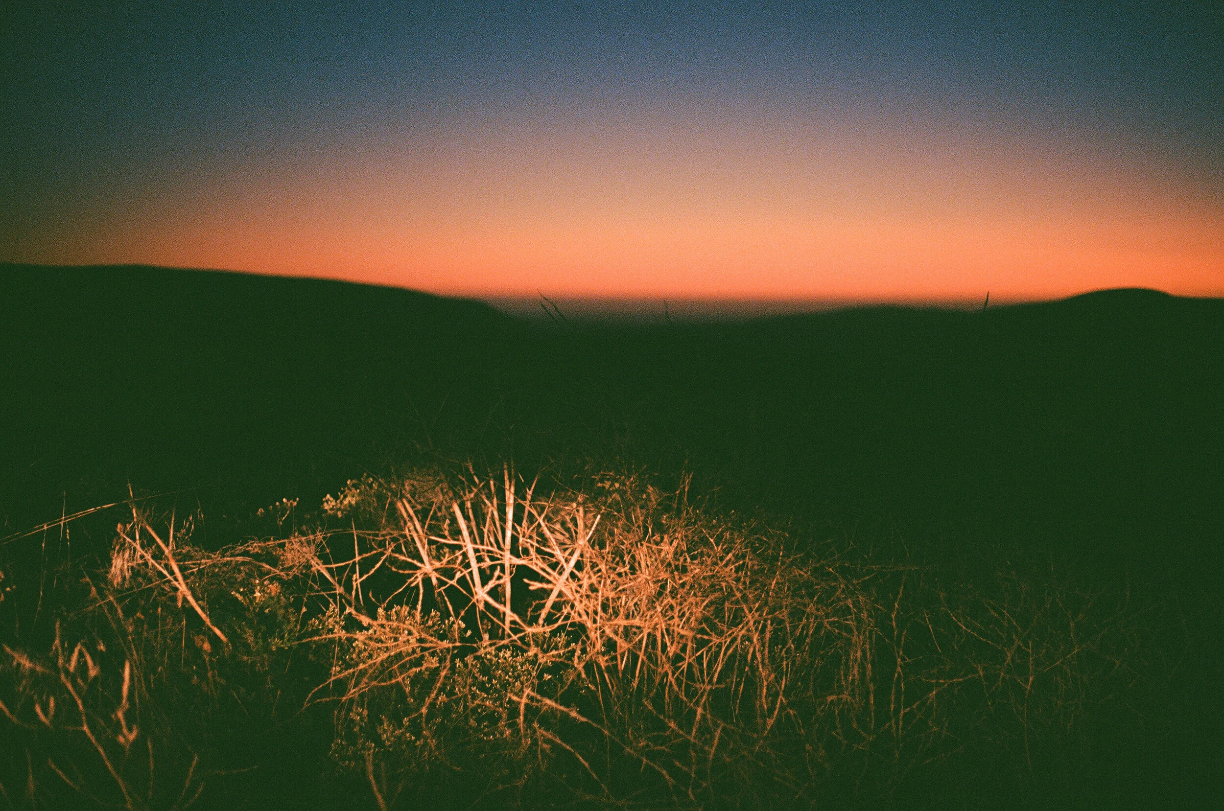 The Abbotts Lagoon parking lot at sunset, lit by the last rays of the sun and some car headlights.