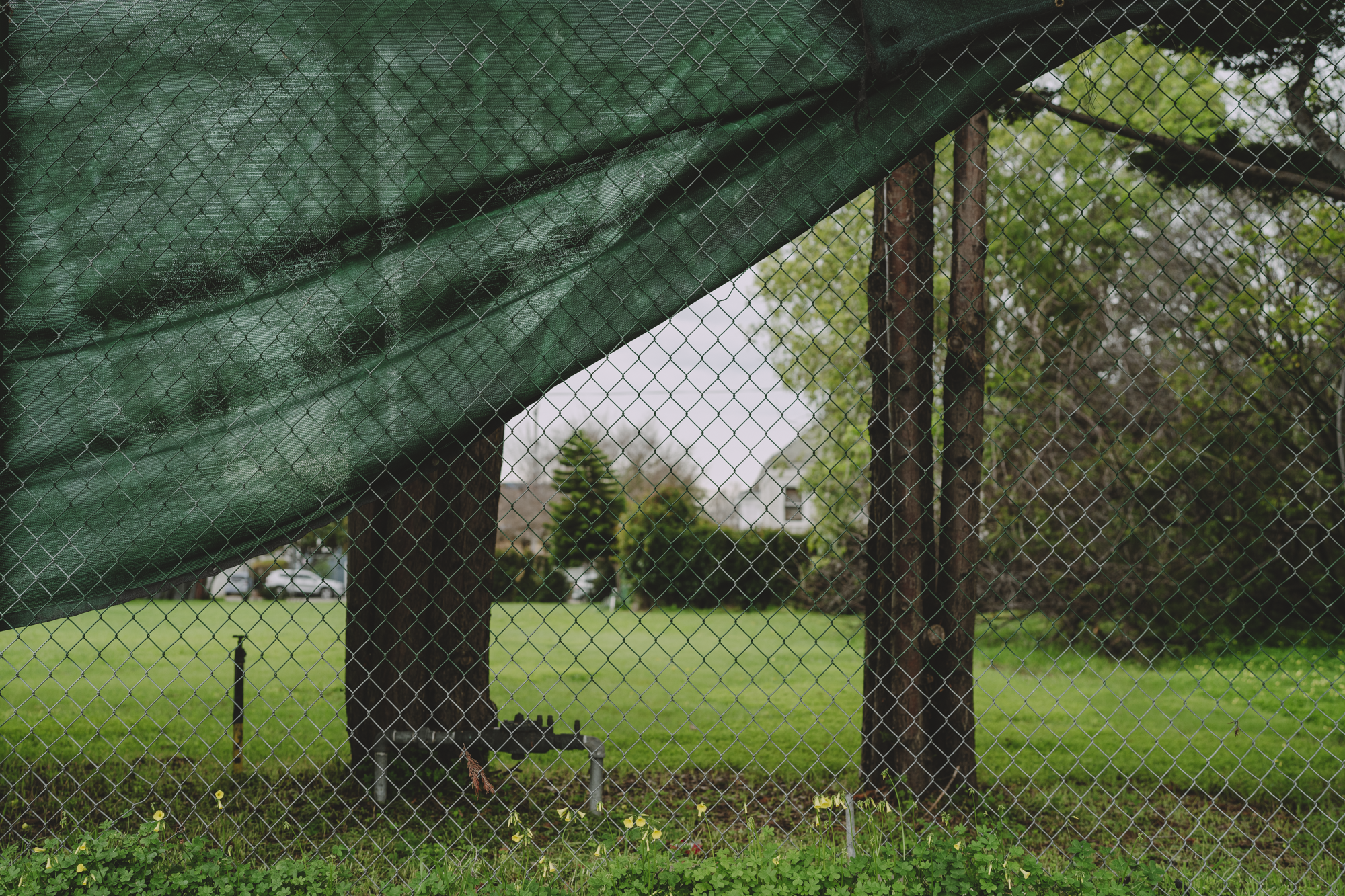 6. Shambho Meadow at 5617 San Pablo Ave, Oakland