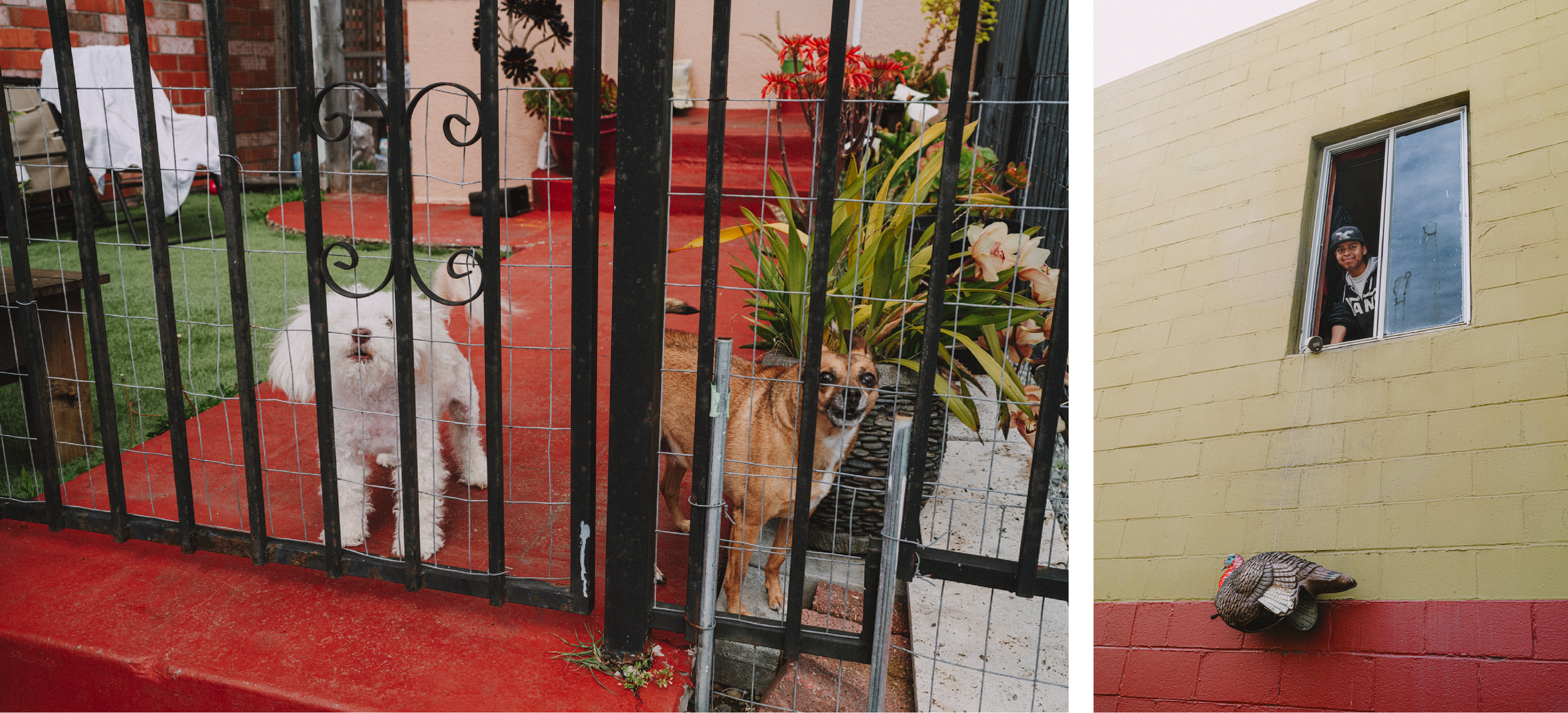 20. L: 12958 San Pablo Ave, Richmond. R: 14600 San Pablo Ave, San Pablo.