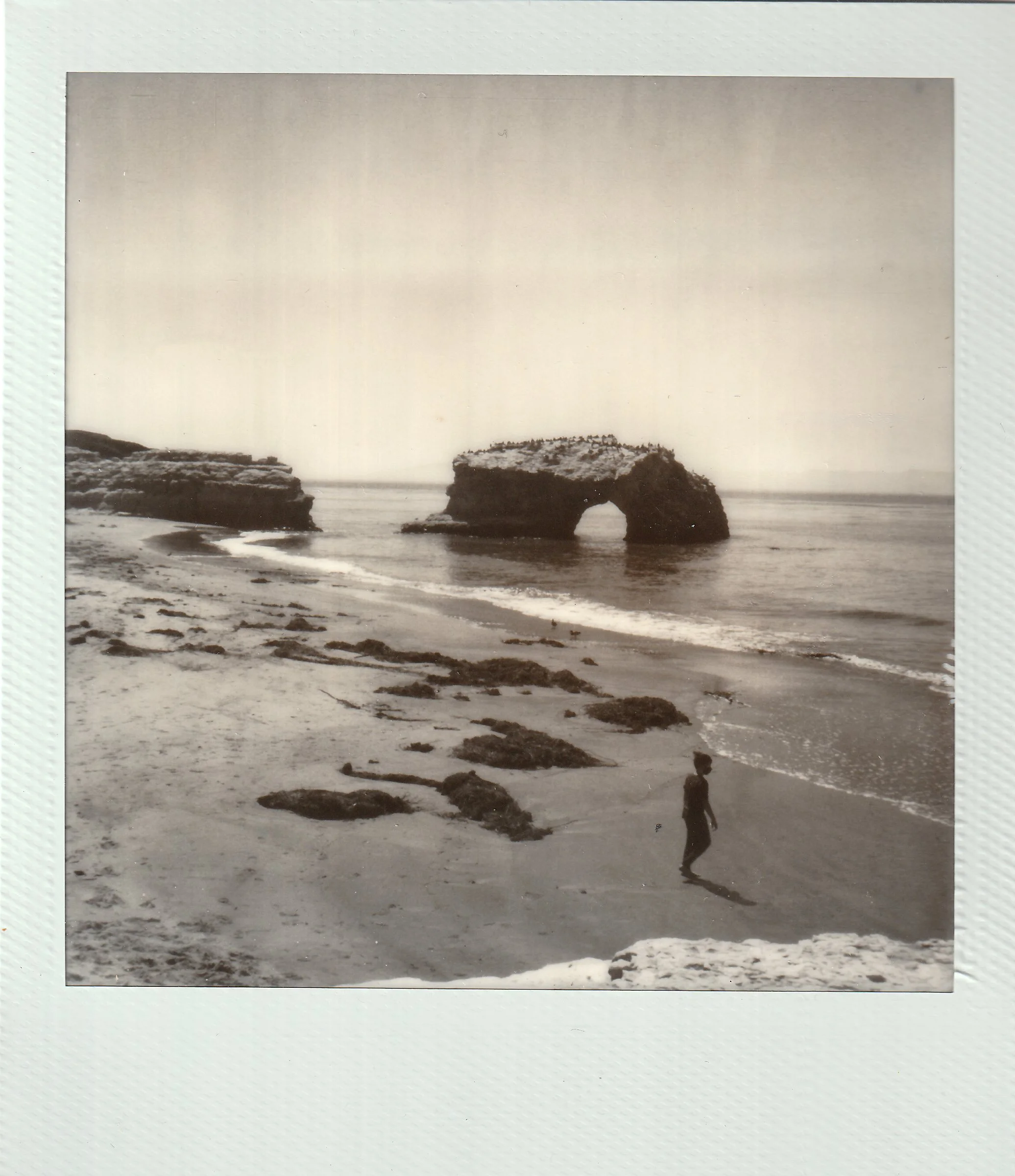 Polaroids-12.jpg