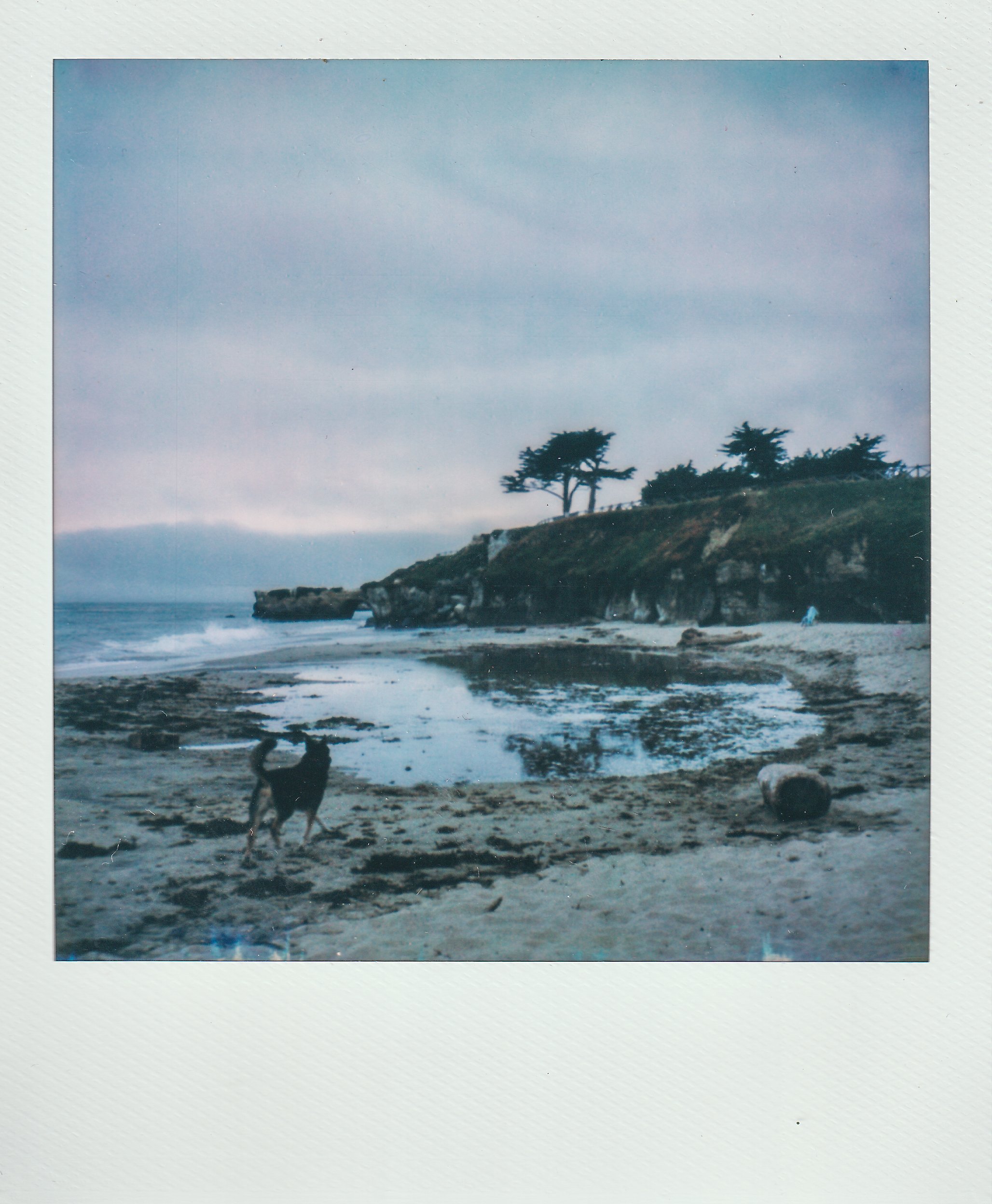Polaroids-21.jpg
