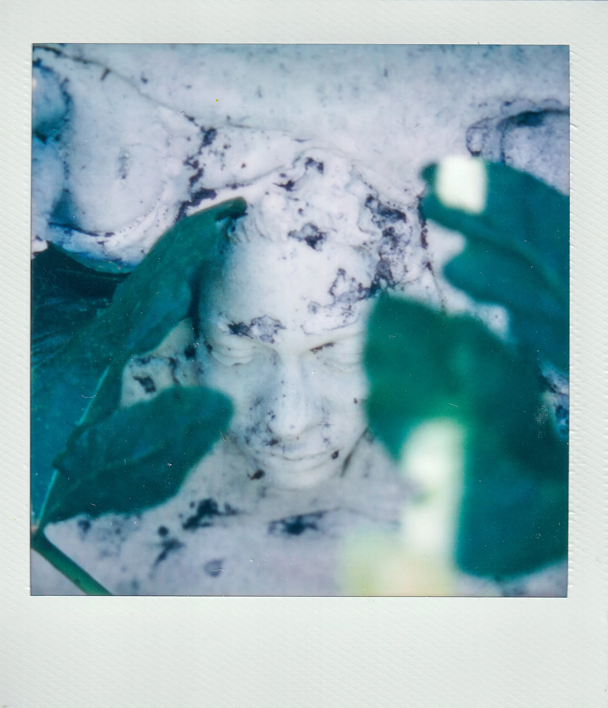 Polaroids-17.jpg