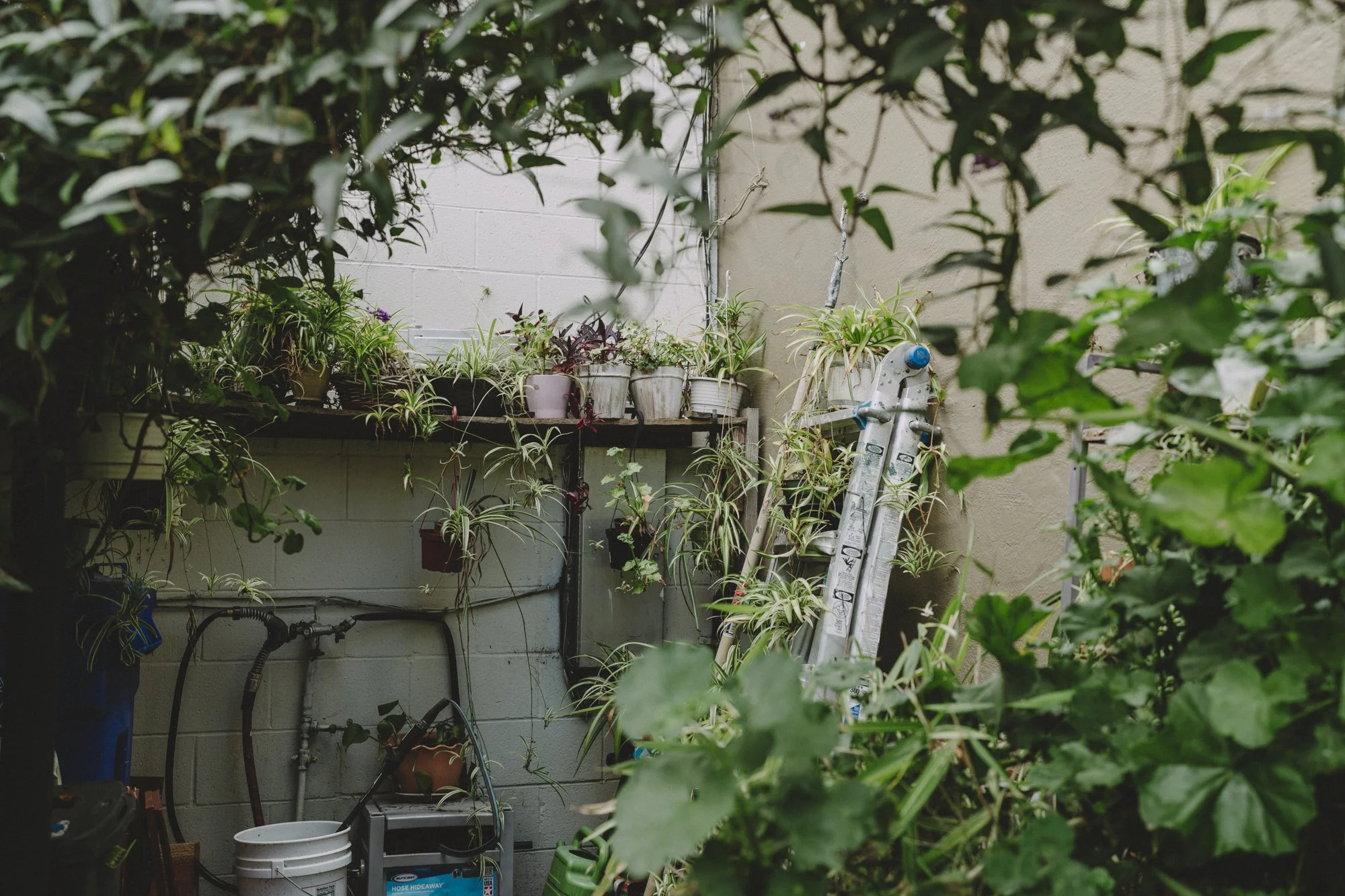 2440 San Pablo Ave, Pinole