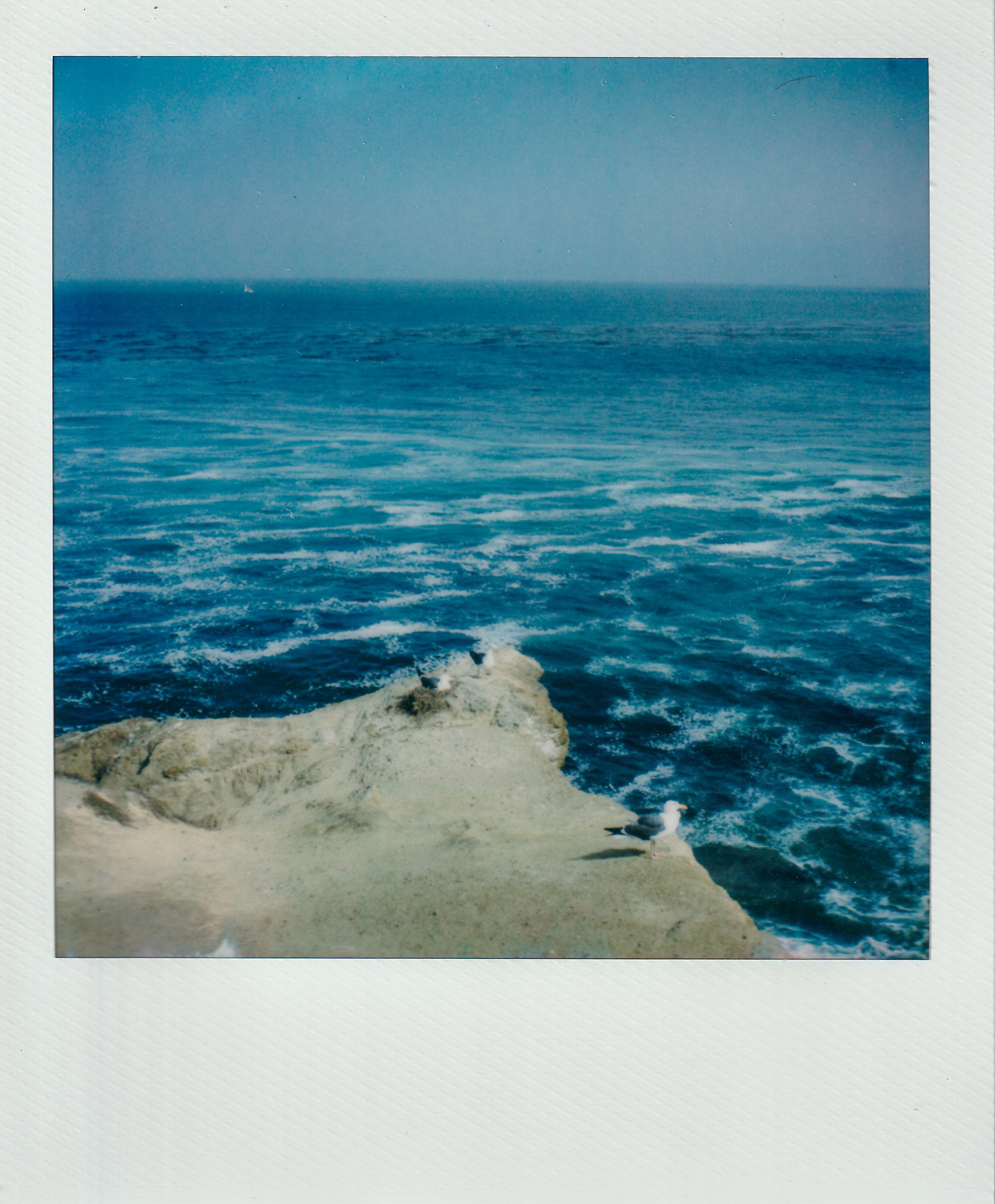 Polaroids-20.jpg