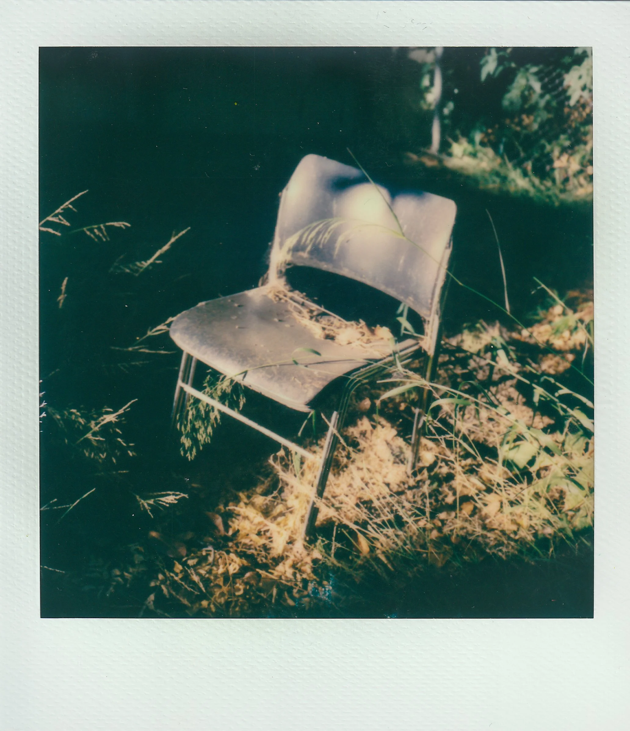 Polaroids-32.jpg