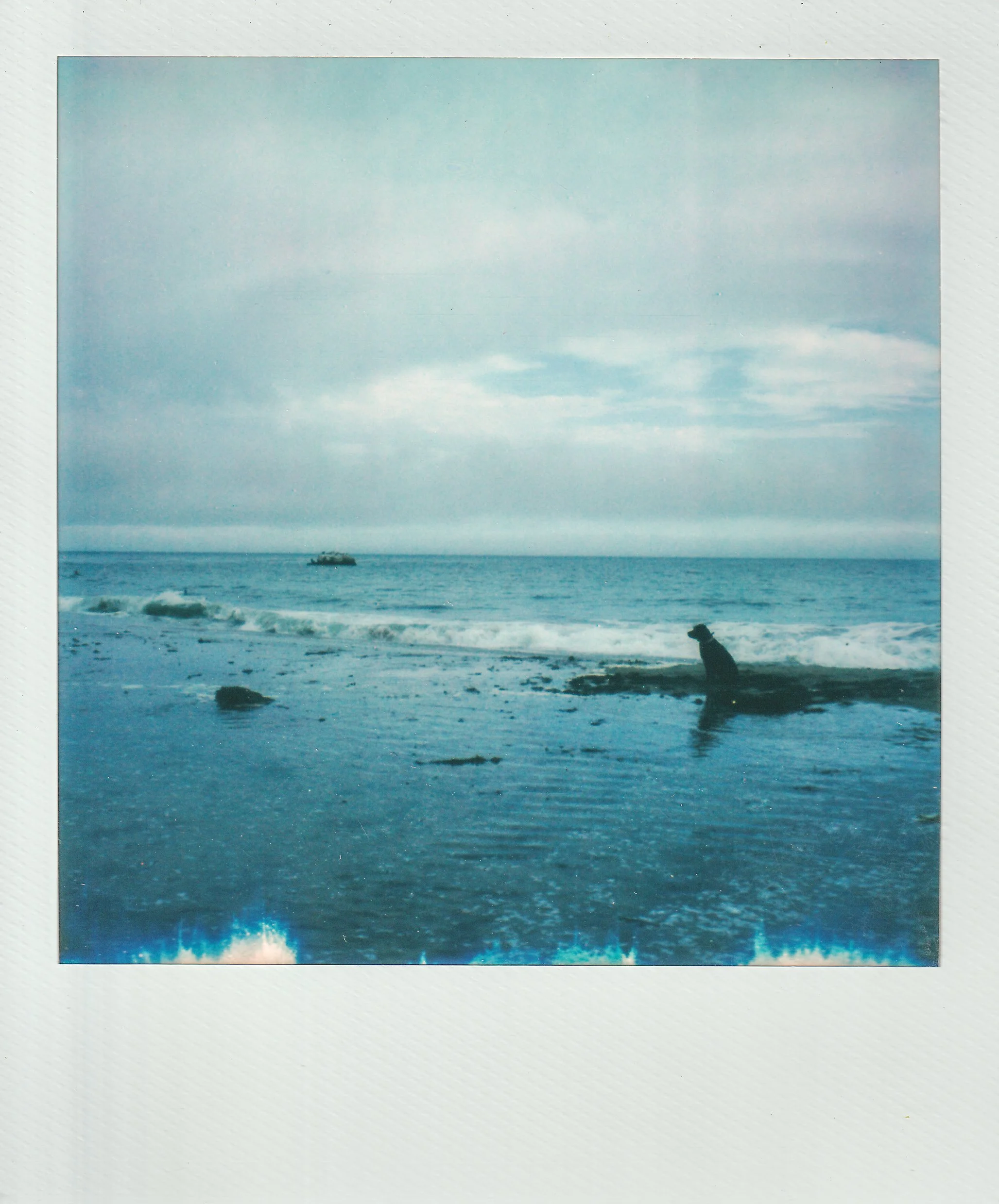 Polaroids-29.jpg