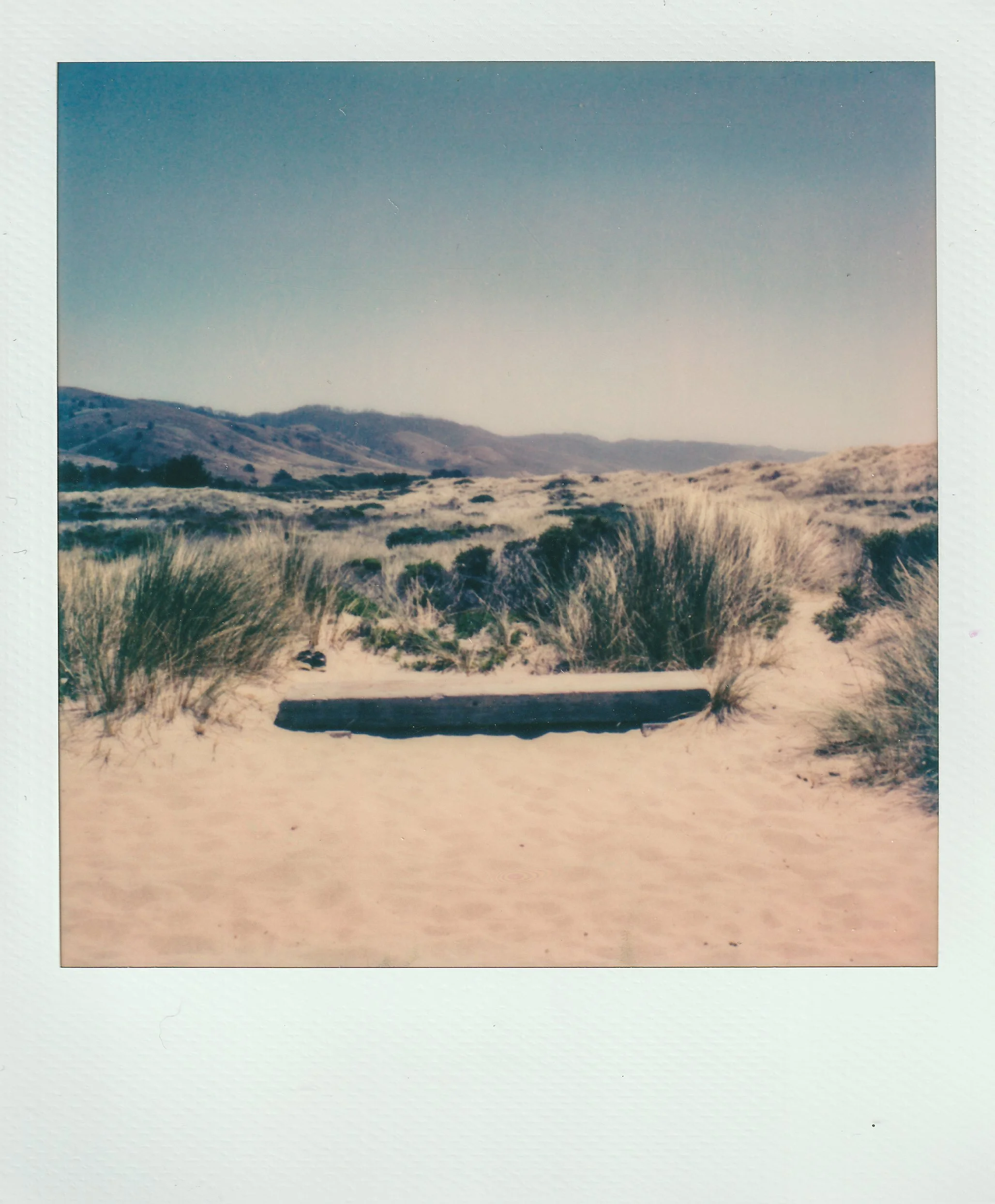Polaroids-33.jpg
