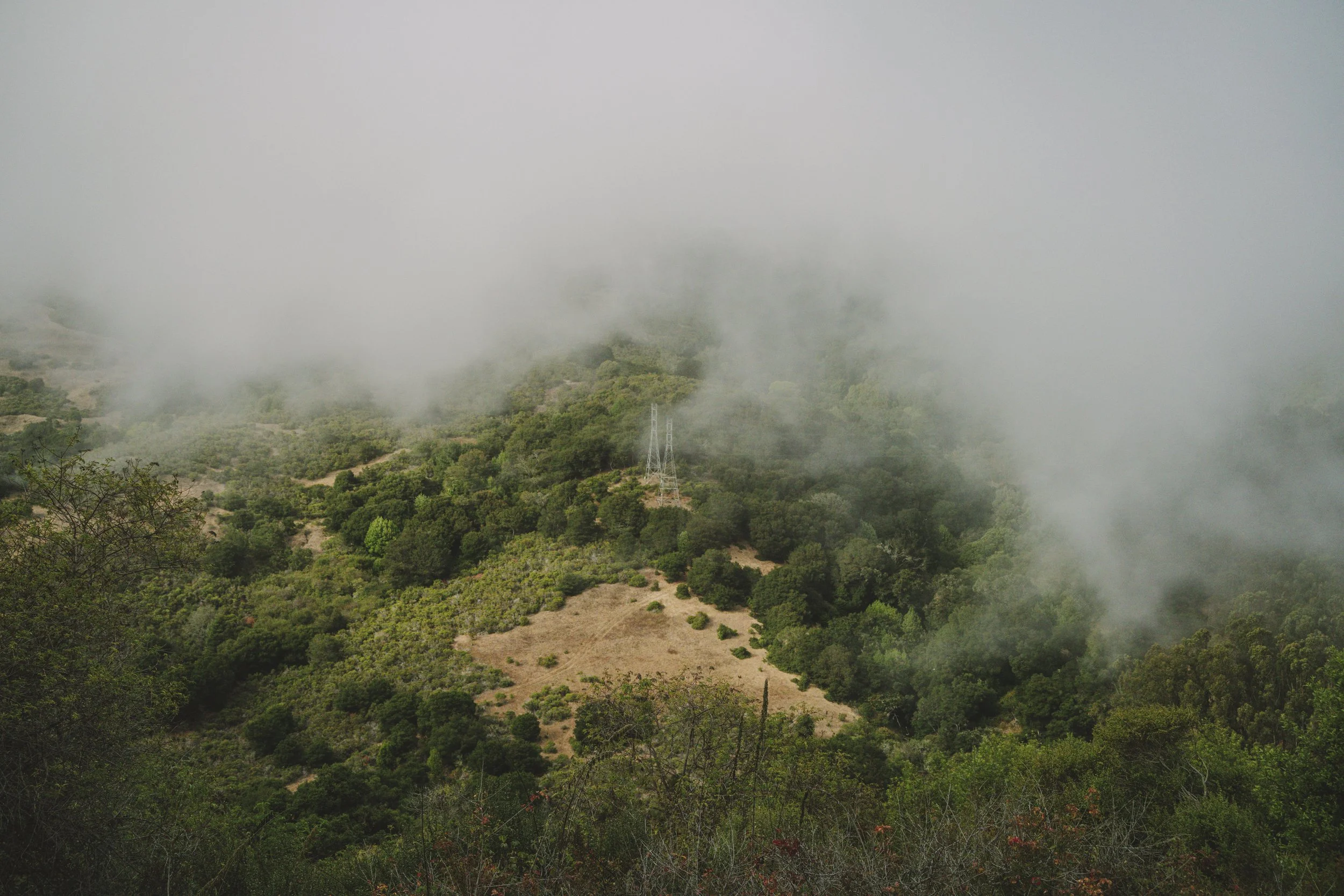 Summer fog blankets the ridge line, but a patch of sun alights on power pylons surrounded by mixed vegetation. 