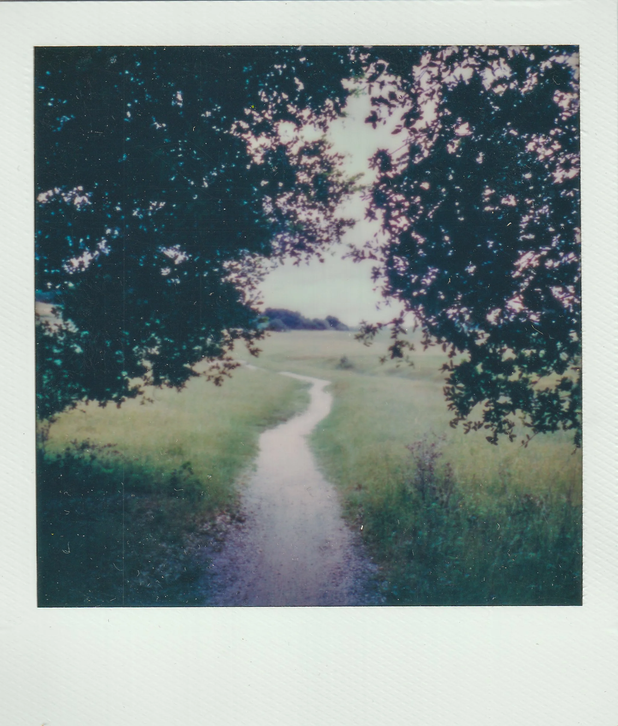 Polaroids-10.jpg
