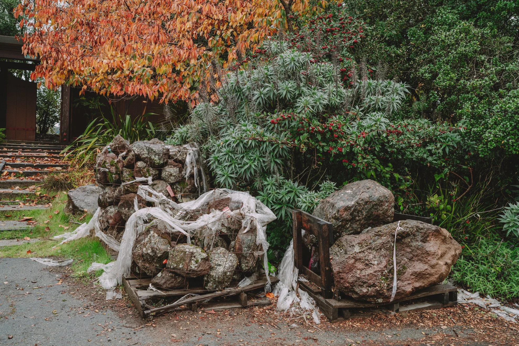 Large landscaping rocks with degraded plastic sheeting sit in boxes in front of a large property.