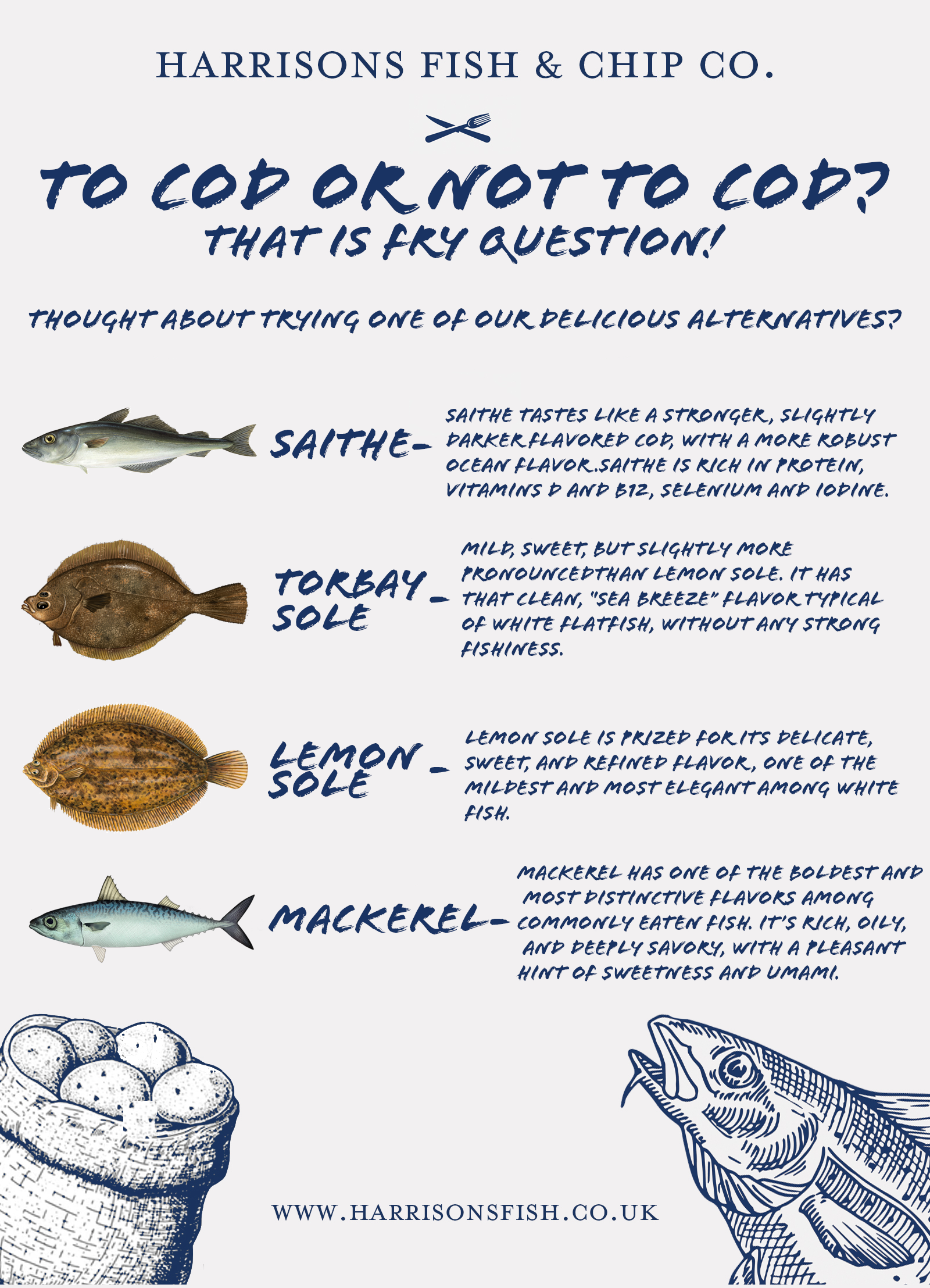 An infographic comparing various types of fish used as alternatives to cod. It features images and descriptions of Saithe, Torbay Sole, Lemon Sole, and Mackerel, with details about their taste and flavors, along with a drawing of a fish and a basket of fish balls.