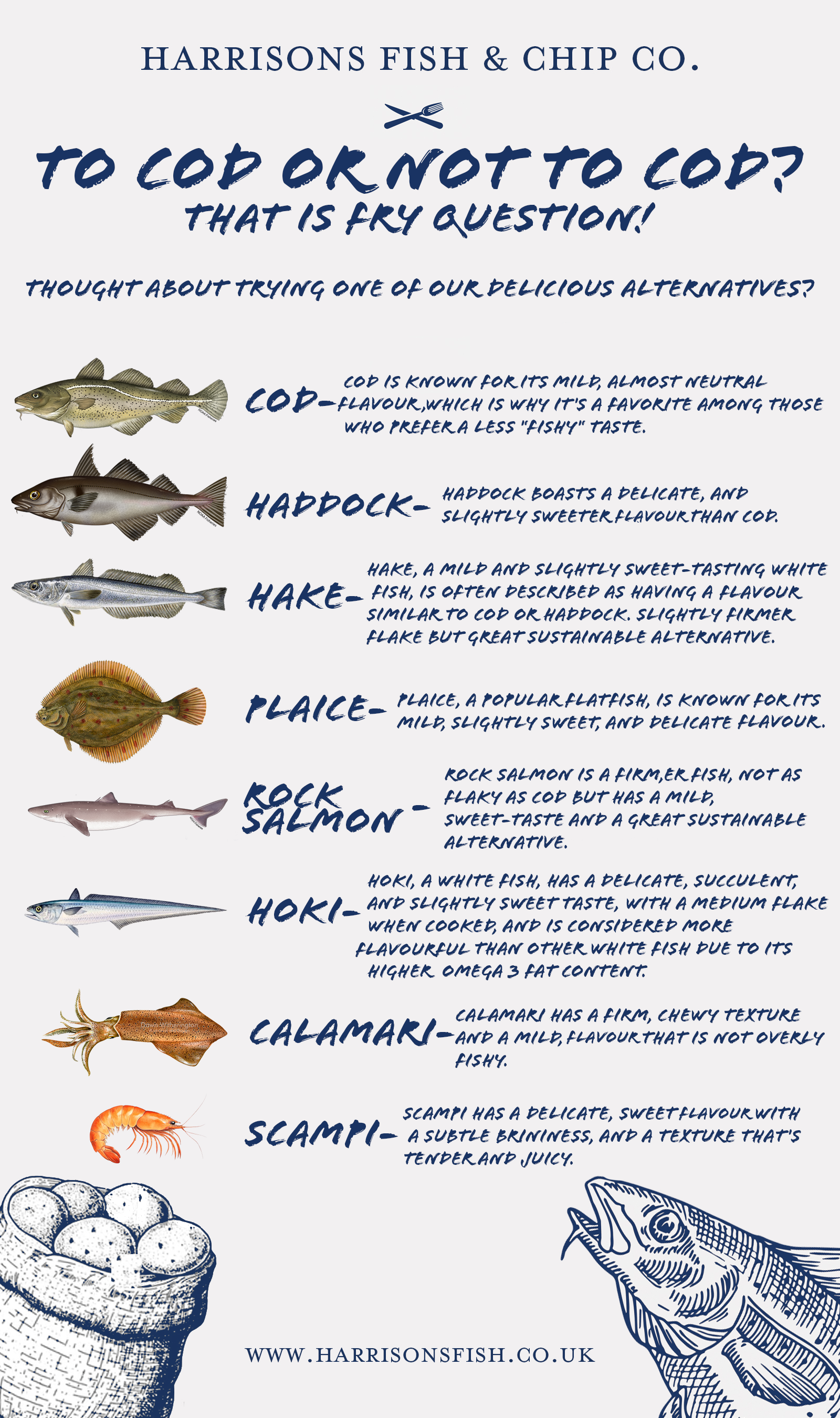 Poster for Harrison's Fish & Chip Co. comparing different fish types for frying. Features illustrations of cod, haddock, hake, plaice, rock salmon, hoki, calamari, and scallops with descriptions of their flavor and characteristics. Includes drawings of a fish basket and a fish.