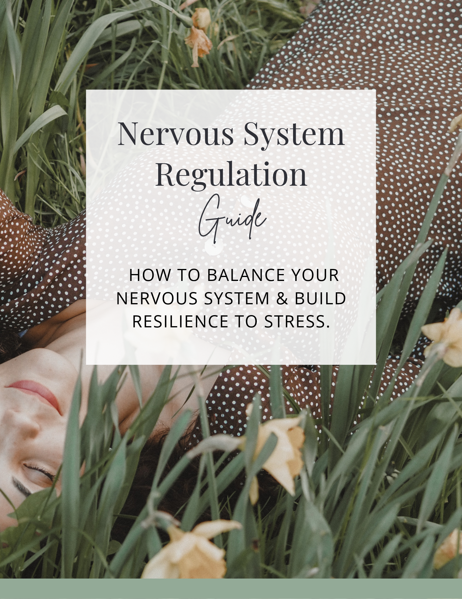 Copy of Nervous System Regulation Guide.png
